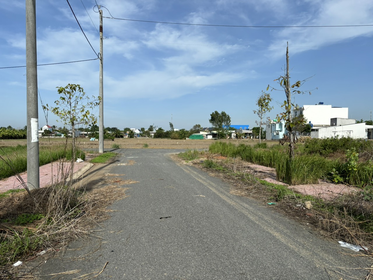 Đất nền kdc 1B xã Cần Đước 84m2 Chủ cần bán giá rẻ khi mua 890tr 2