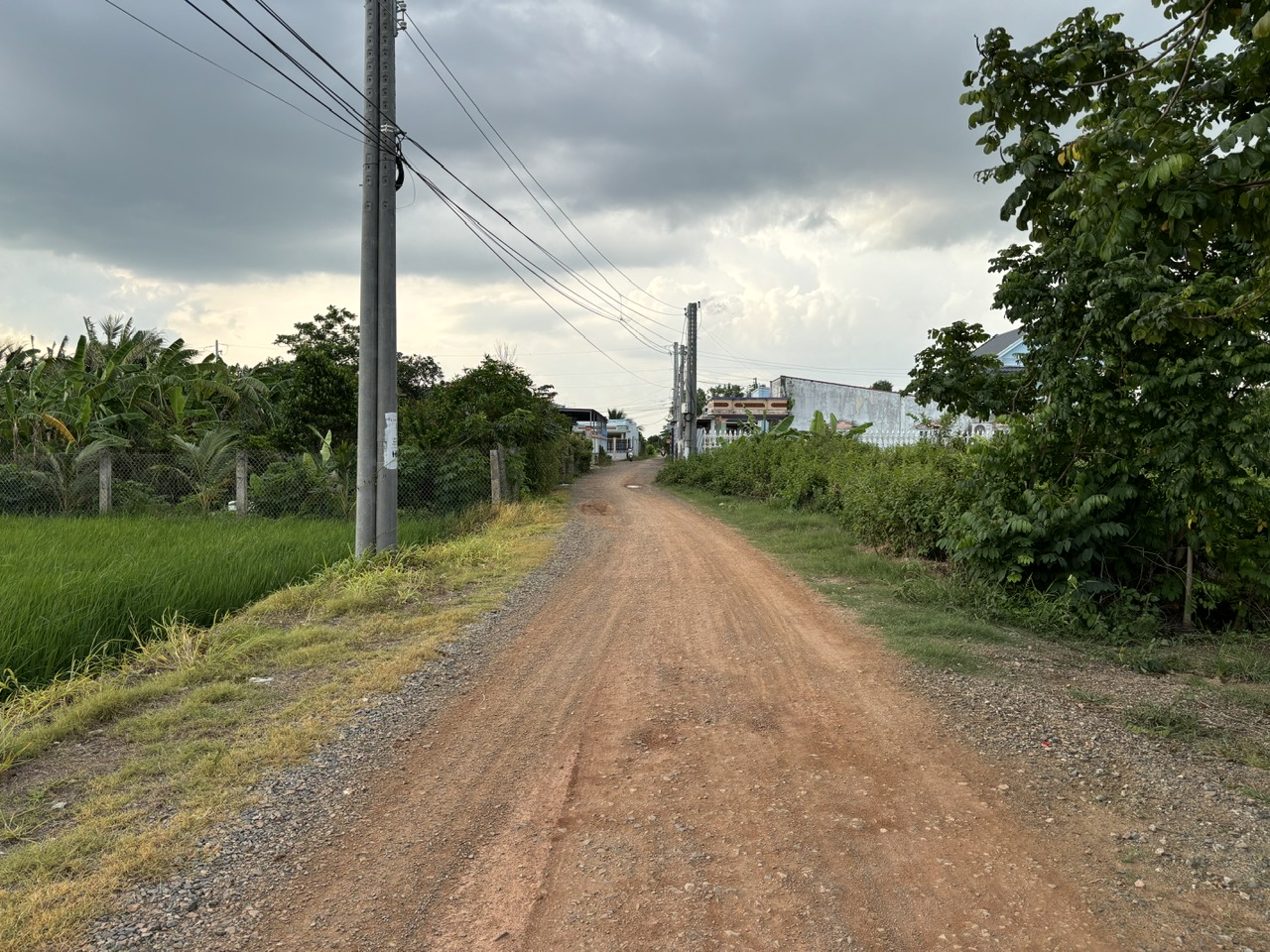 Đất lúa Óc Đảo Long Hựu 1000m2 mt đường 7m giá rẻ khách đầu tư 2 tỏi 5