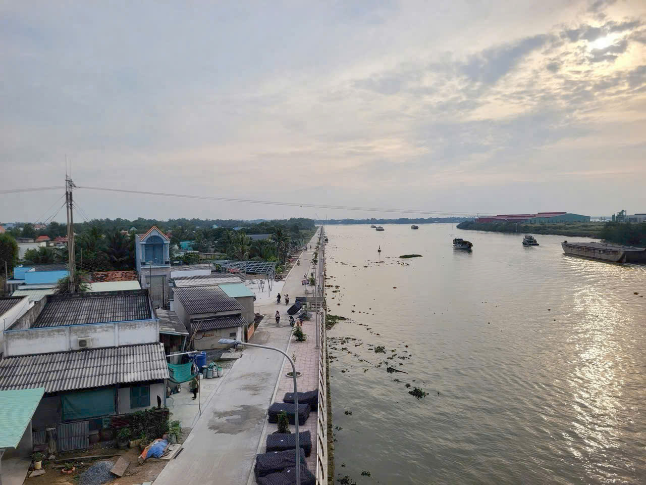 Đất lúa Óc Đảo Long Hựu 1000m2 giá rẻ đầu tư chỉ 400tr