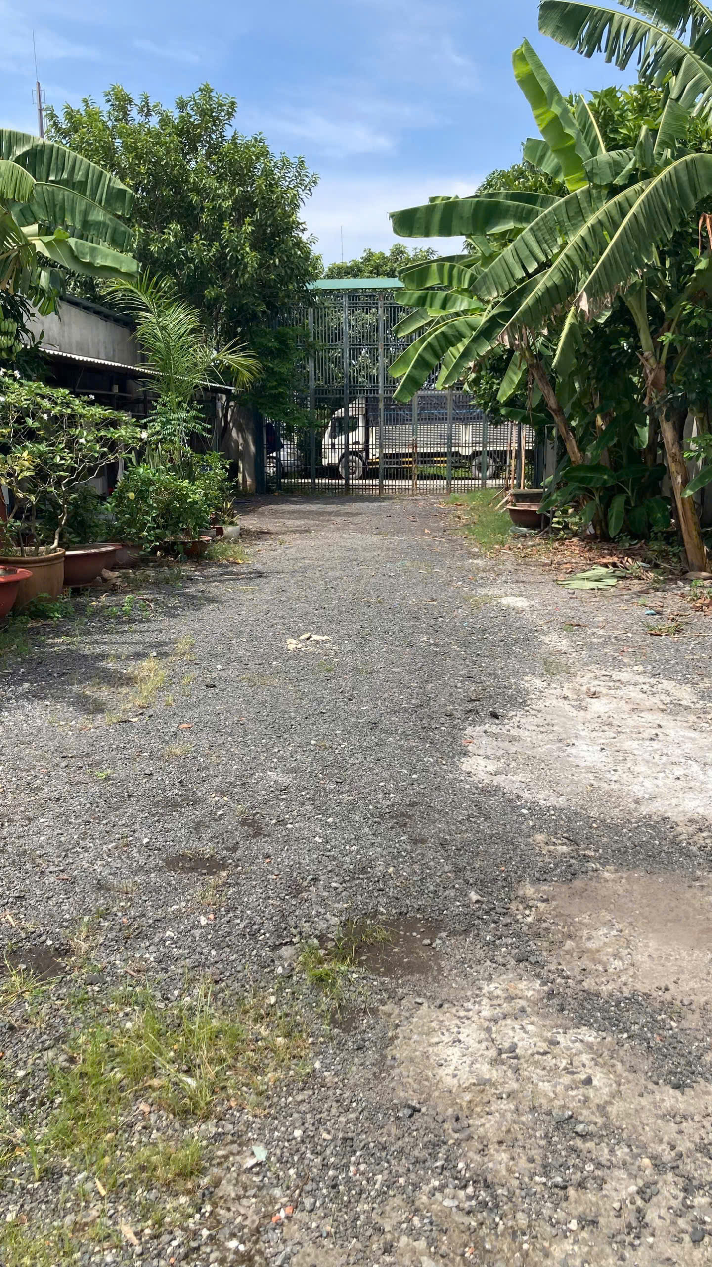 XƯỞNG 2 MẶT TIỀN XUÂN THỚI SƠN – 20x40M – FULL THỔ CƯ – GIÁ CHỈ 25 TỶ 3