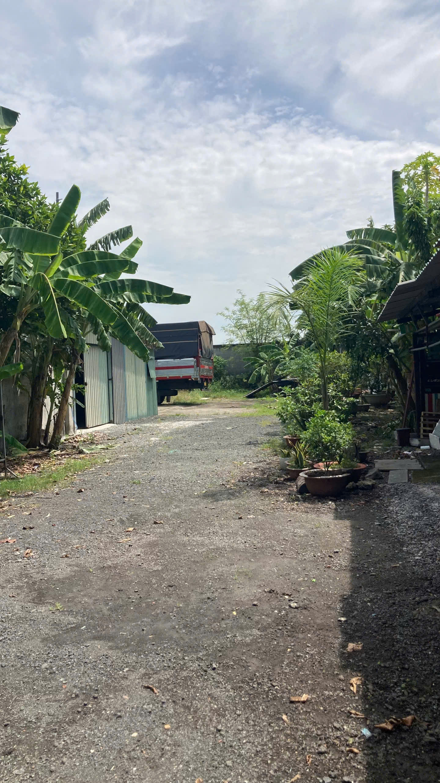 XƯỞNG 2 MẶT TIỀN XUÂN THỚI SƠN – 20x40M – FULL THỔ CƯ – GIÁ CHỈ 25 TỶ 4