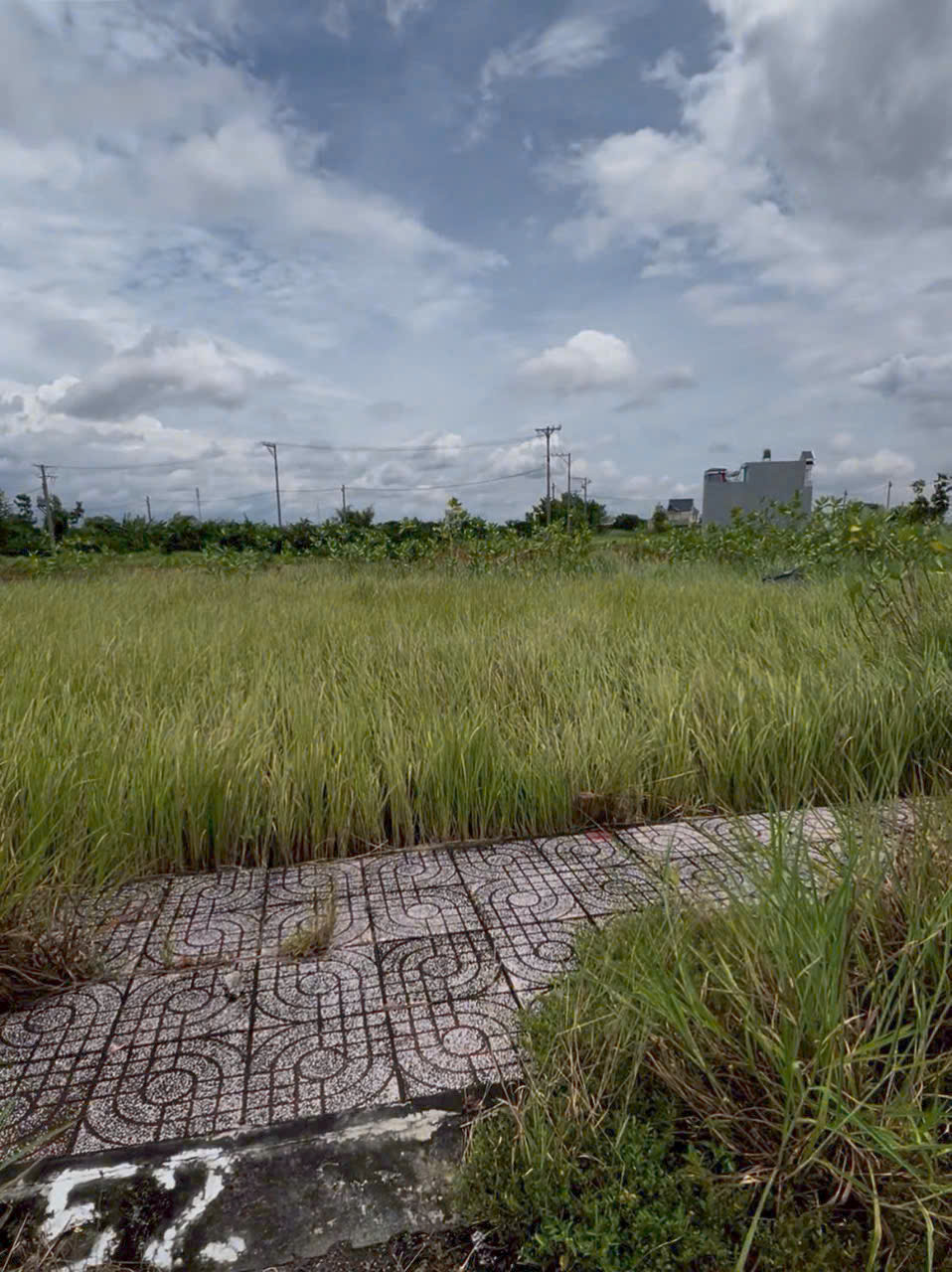 Đất nền 81m2 kdc Tân Lân 5 Hiệp chủ bán gấp giá xả lỗ 570tr 4