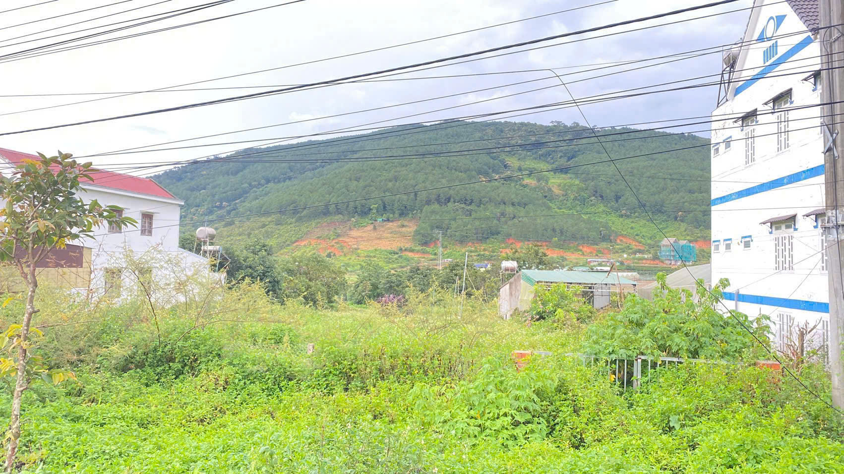 Tổng 4200m2 đất mặt tiền ql20, hiệp an đức trọng, lâm đồng 3