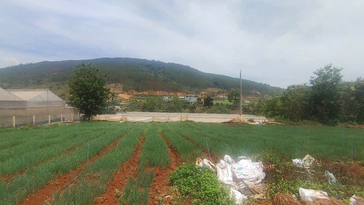 Tổng 4200m2 đất mặt tiền ql20, hiệp an đức trọng, lâm đồng 5