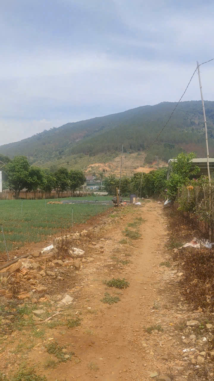 Tổng 4200m2 đất mặt tiền ql20, hiệp an đức trọng, lâm đồng 6