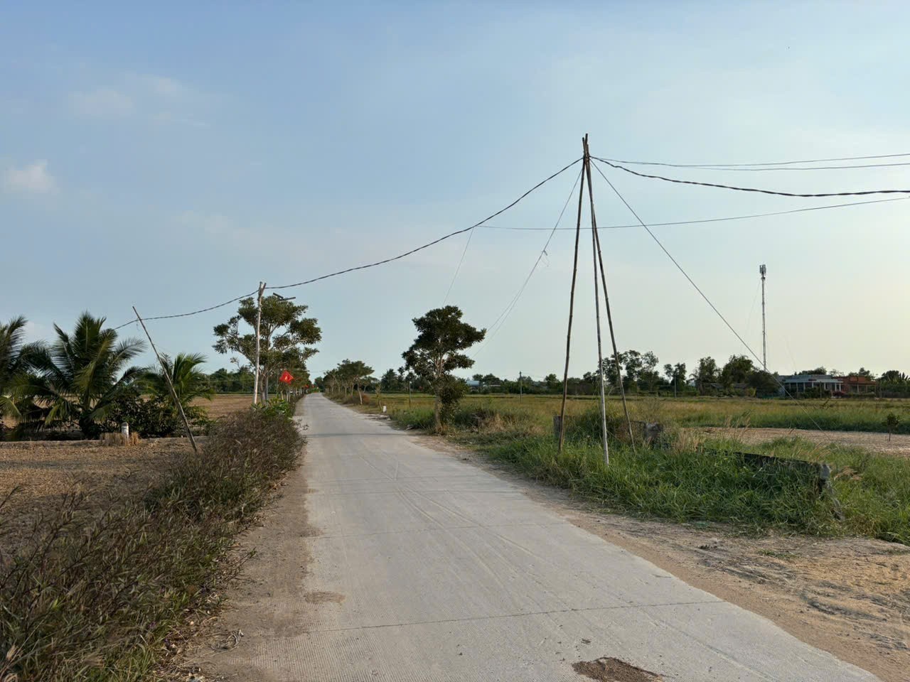 NHà vườn 351m2 thổ mt đường xe hơi xã Tân Lân giá rẻ đầu tư 2 tỏi 7 3
