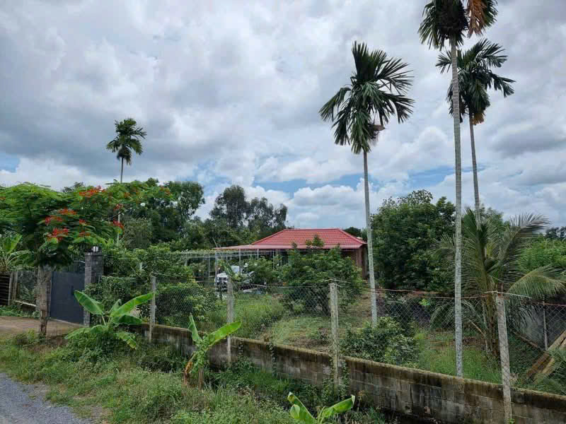 BÁN GẤP VƯỜN TRÁI CÂY VEN KÊNH – 1.100M² – CHỈ 4,8TR/M² – GIÁ MỀM HIẾM CÓ 3