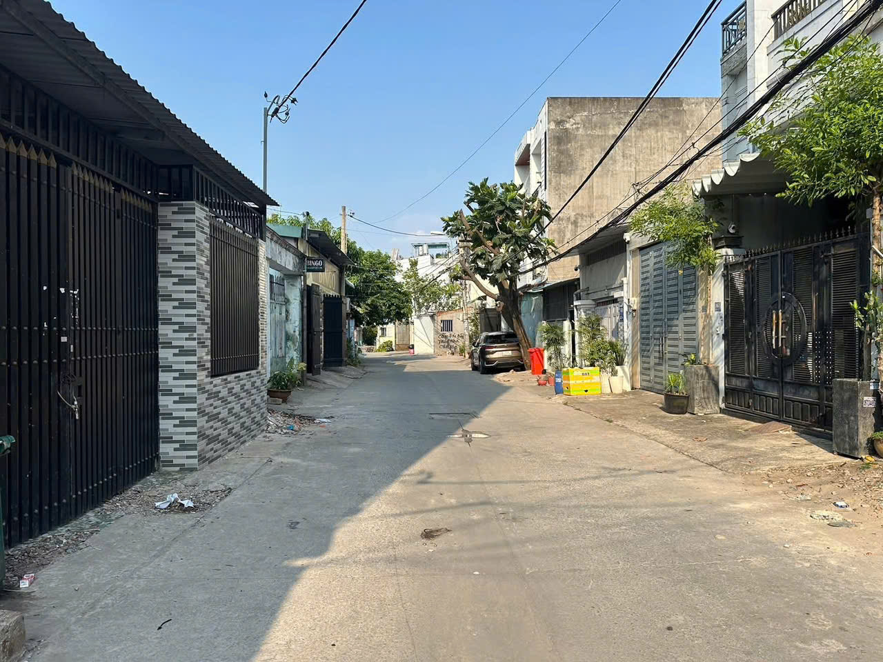 ĐẤT ĐẸP TRẦN THỊ CỜ – QUỸ ĐẤT LỚN HIẾM Q12 – CHỈ 11,5 TỶ 5