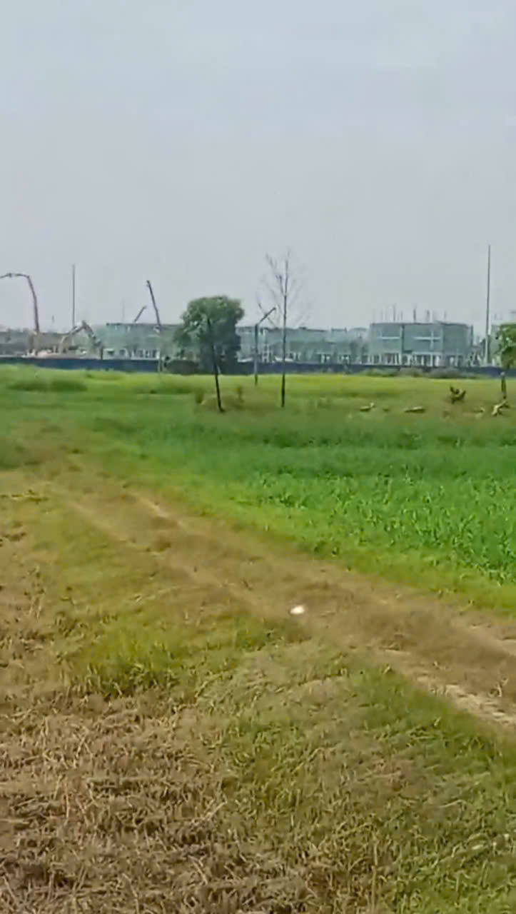 Bán đất mặt tiền đường Tân Hội , Đức Lập Thượng dt 1000m2 ( 300m2 thổ) giá 8,5 tỷ 4