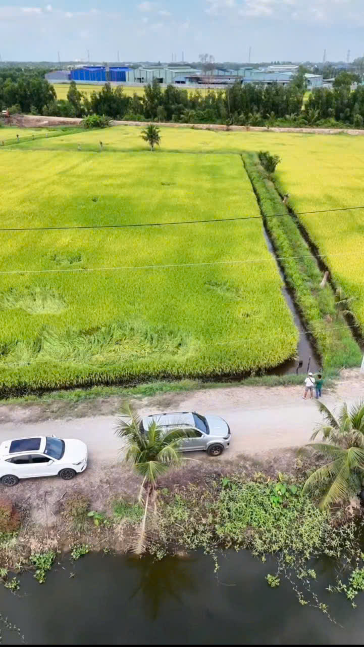 Bán đất lúa góc mt đường đá xanh xe tải và mt kênh xã Hòa Khánh Tây dt 8100m2 giá 7,85 tỷ 2