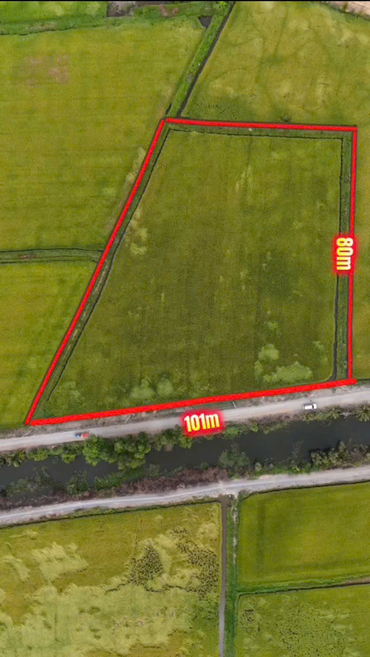 Bán đất lúa góc mt đường đá xanh xe tải và mt kênh xã Hòa Khánh Tây dt 8100m2 giá 7,85 tỷ 3