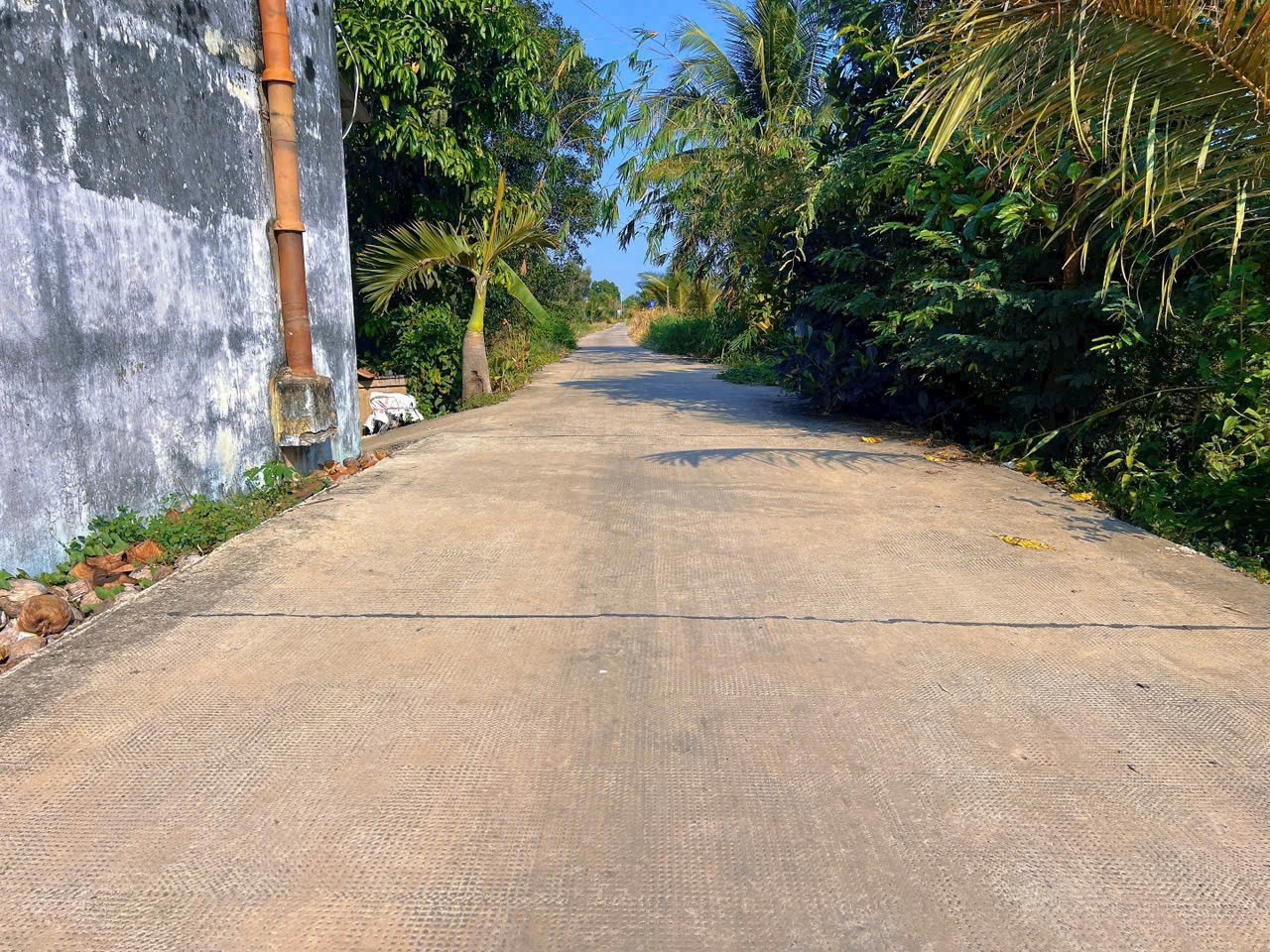 Bán đất vườn đường xe hơi view kênh Rạch Gõ, Thạnh Hòa 1097m2 hướng Tây Nam giá 1,25 tỷ 5