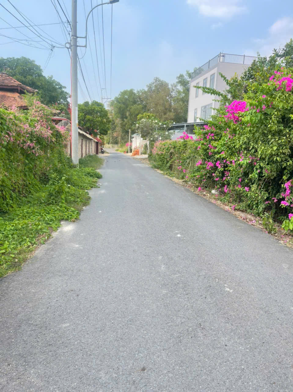 Bán đất mặt tiền đường nhựa xã Tân Phú Trung , dt 500m2 ( 140m2 thổ ) giá 5 tỷ