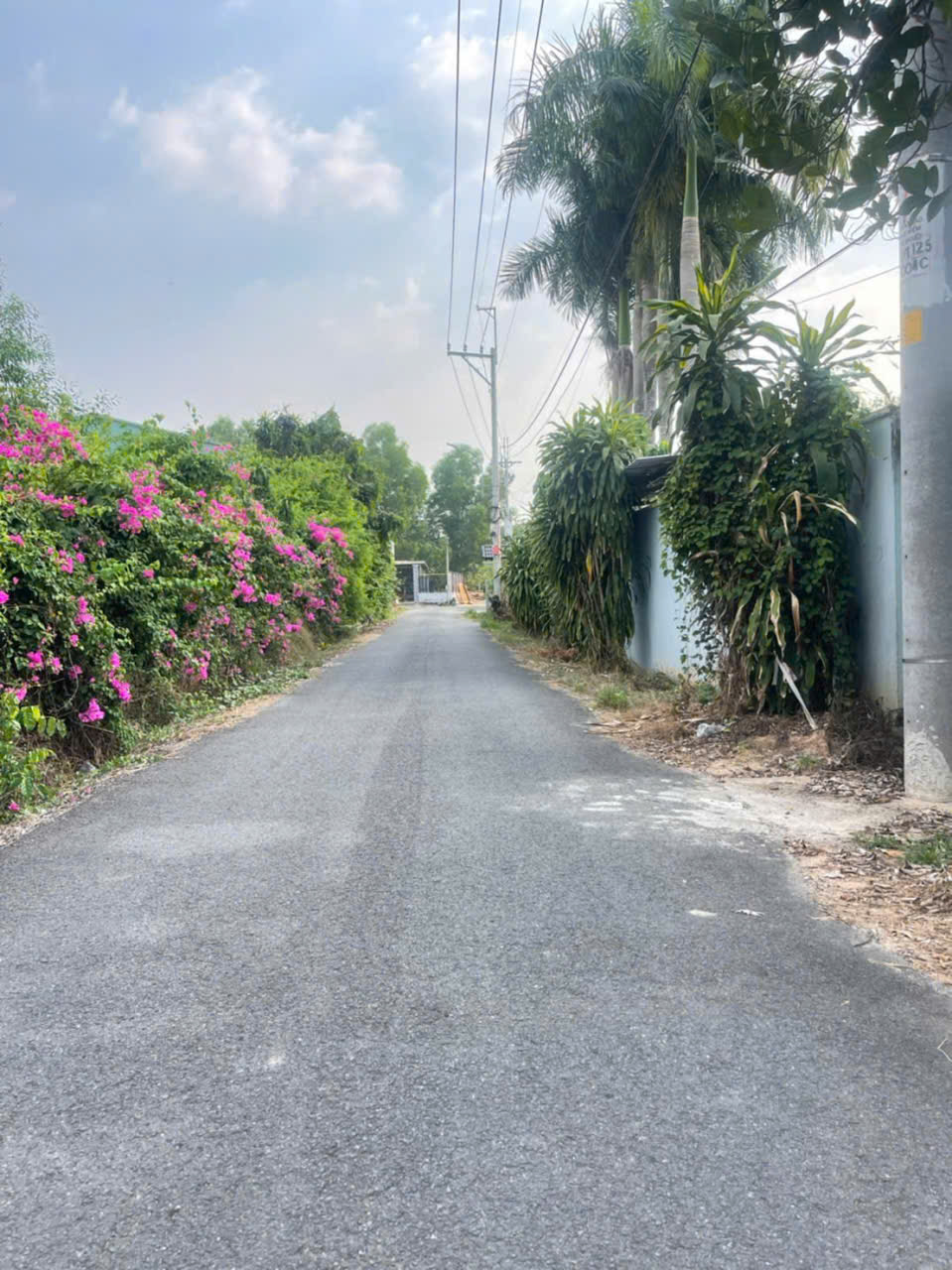 Bán đất mặt tiền đường nhựa xã Tân Phú Trung , dt 500m2 ( 140m2 thổ ) giá 5 tỷ 3