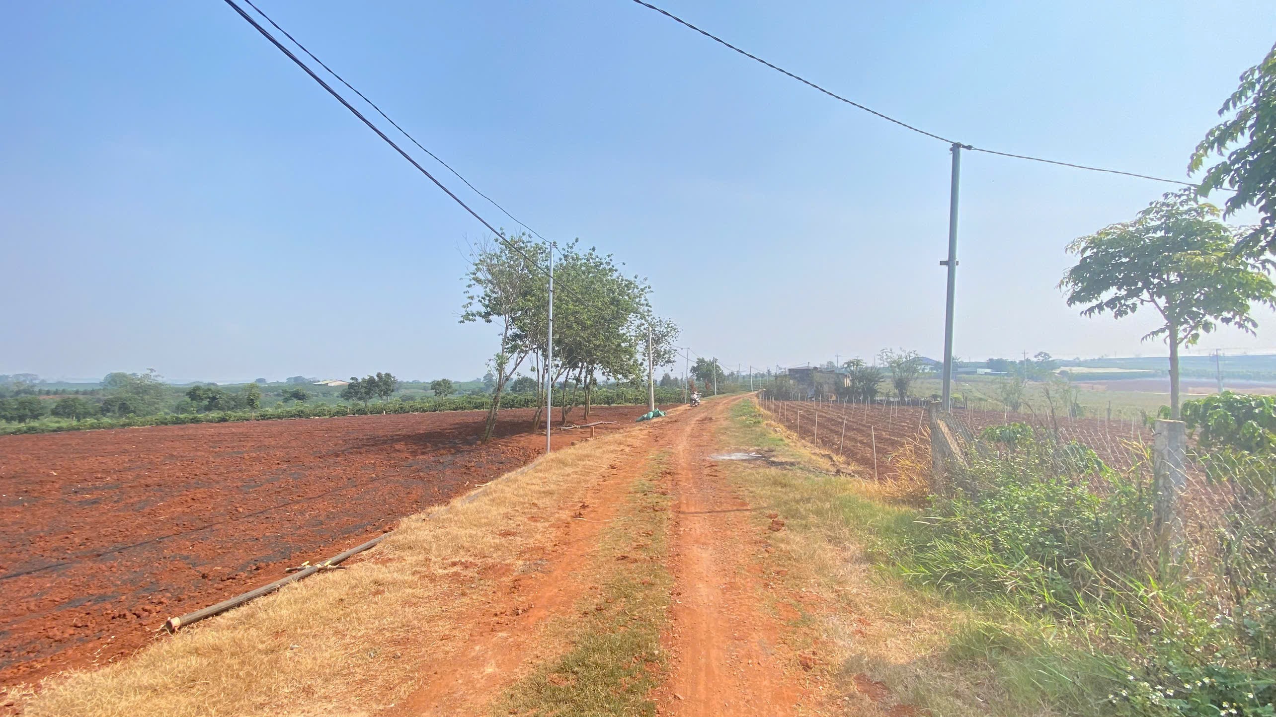 3,6 sào hẻm dh1, tân hội, đức trọng cũ, lâm đồng 2