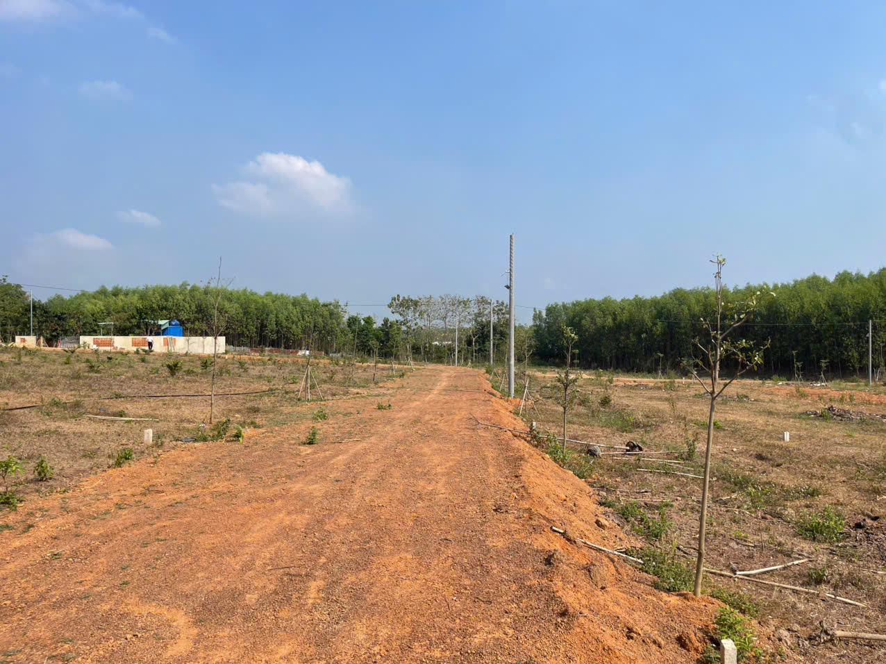 Cần bán Trang trại, rẫy, vườn đường Đoàn Thị Điểm, Thị trấn Vĩnh An, Diện tích 500m², Giá 480 Triệu 7