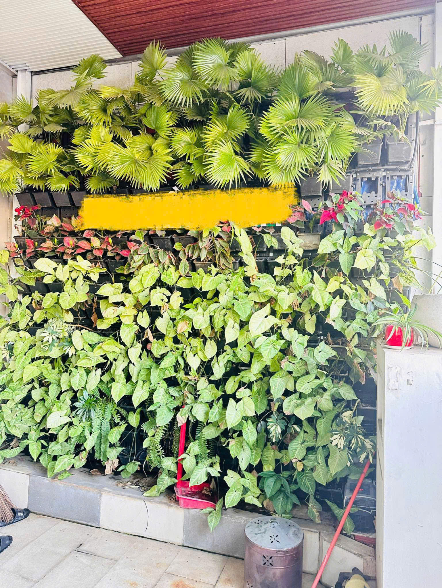 Cho thuê Nhà mặt tiền Phường Phước Long B, Quận 9, Diện tích 100m², Giá 30 Triệu/tháng 6