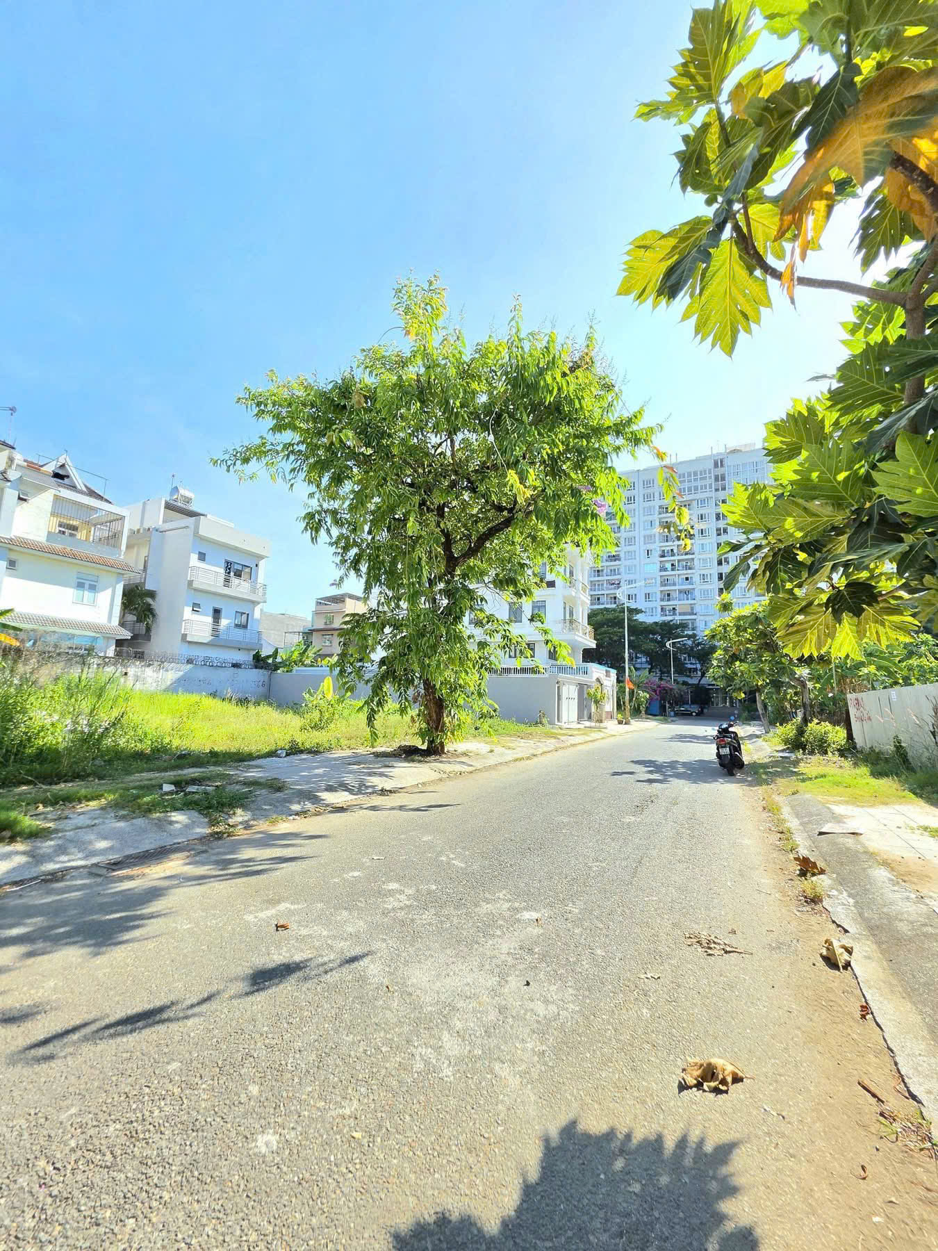 Cần bán Đất Quận 2, Hồ Chí Minh, Diện tích 176m², Giá Thương lượng 3