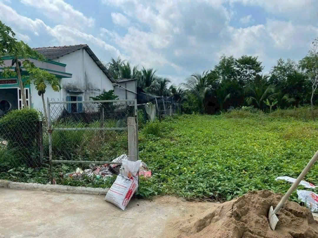 Cần bán Đất Xã Thạnh Đức, Bến Lức, Diện tích 186m², Giá 1.2 Tỷ 3