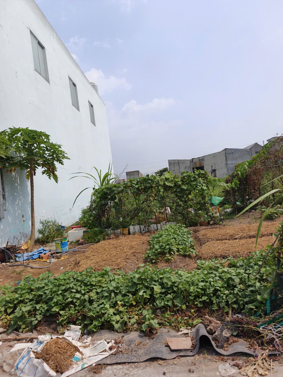 Bán đất thổ cư đường beton 4m xã Đức Hòa Đông gần cổng chào Tân Đức dt 105m2 giá 1,3 tỷ 4