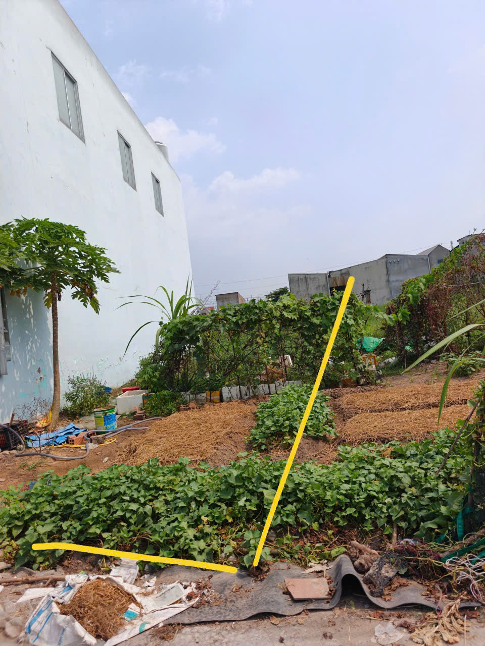 Bán đất thổ cư đường beton 4m xã Đức Hòa Đông gần cổng chào Tân Đức dt 105m2 giá 1,3 tỷ 5