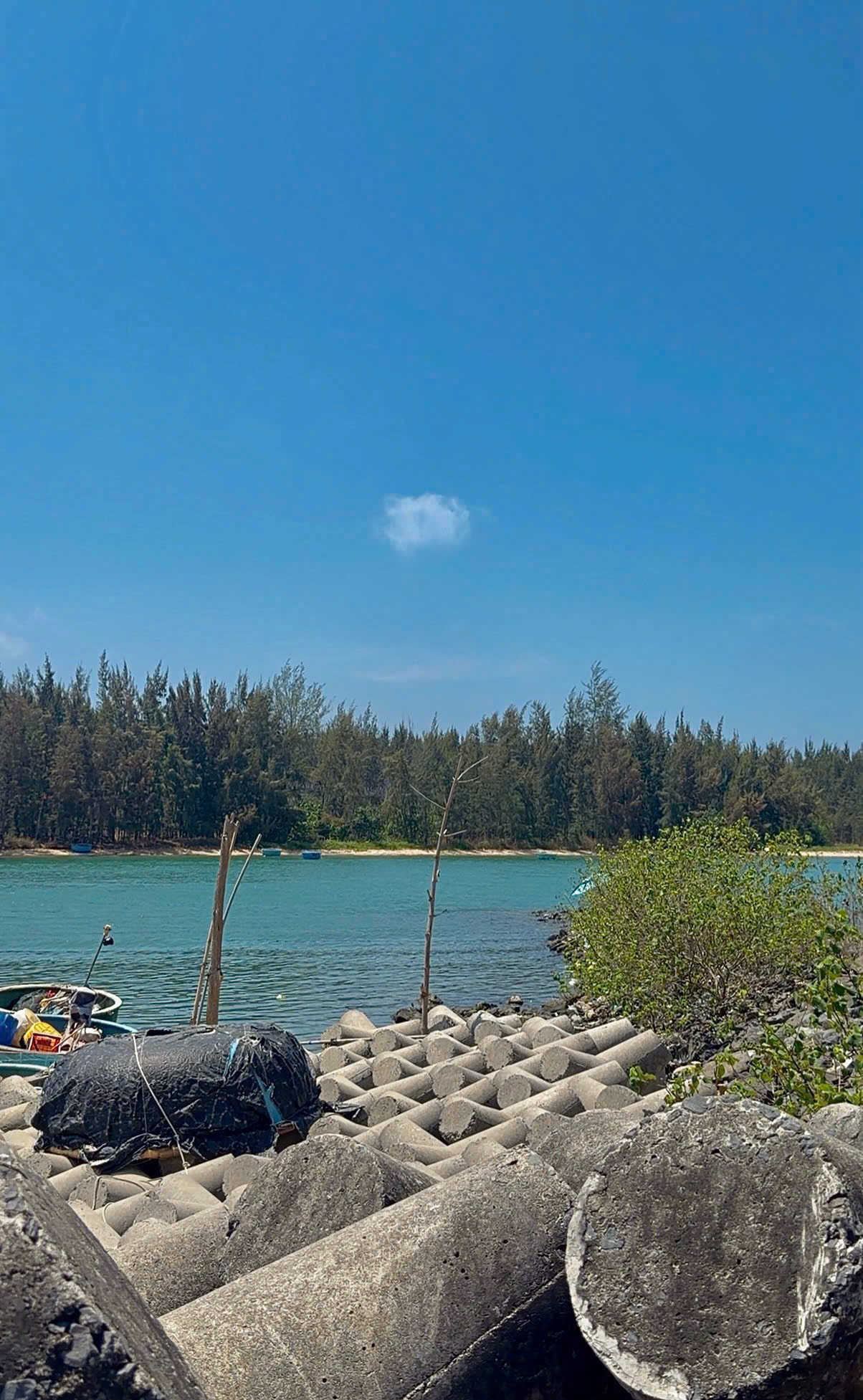 Cần bán Đất đường D1, Xã Lộc An, Diện tích 134m², Giá Thương lượng 5