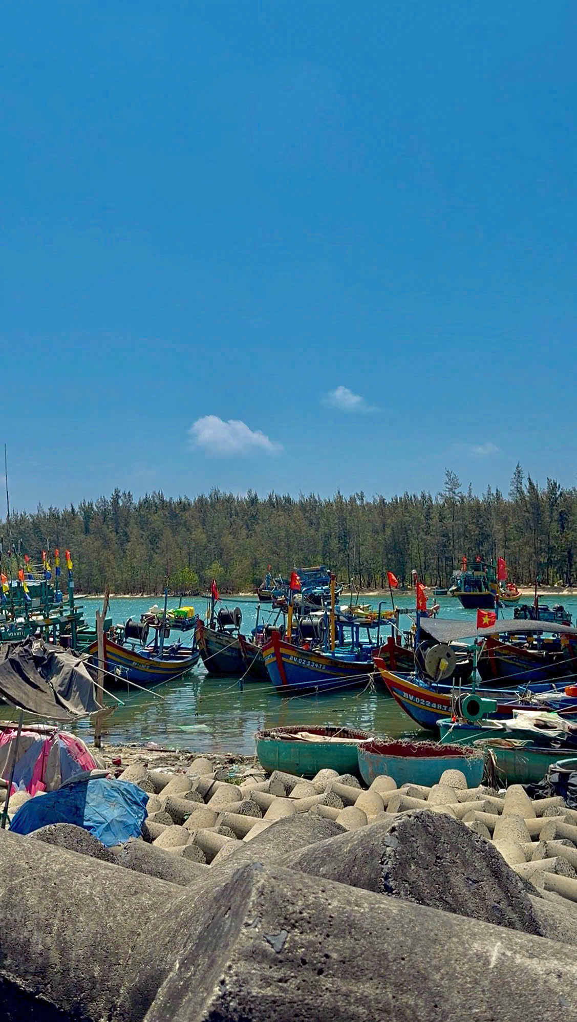 Cần bán Đất đường D1, Xã Lộc An, Diện tích 134m², Giá Thương lượng 4