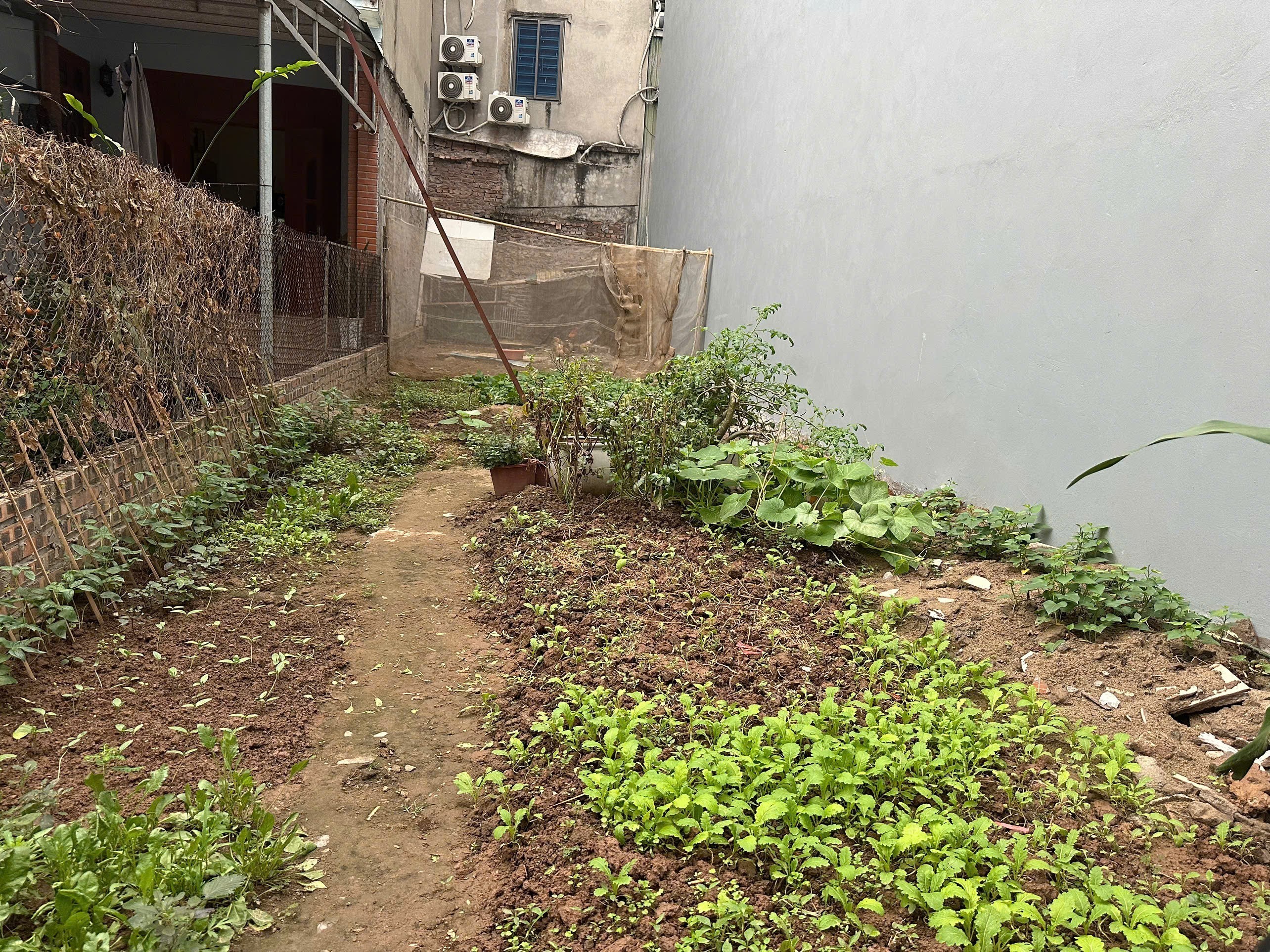 BÁN ĐẤT HƯƠNG MẠC TỪ SƠN DT 50M2 VÀI BƯỚC RA Ô TÔ TRÁNH SÁT BÊN KHU PHÂN LÔ VĨNH THỊ DÂN CƯ ĐÔNG