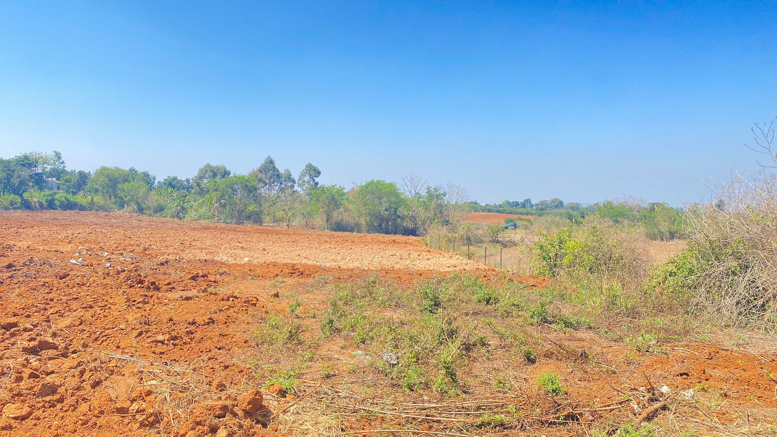 1ha mặt tiền nhựa chính vào thác Pongour, phú hội cũ, đức trọng, lâm đồng 6