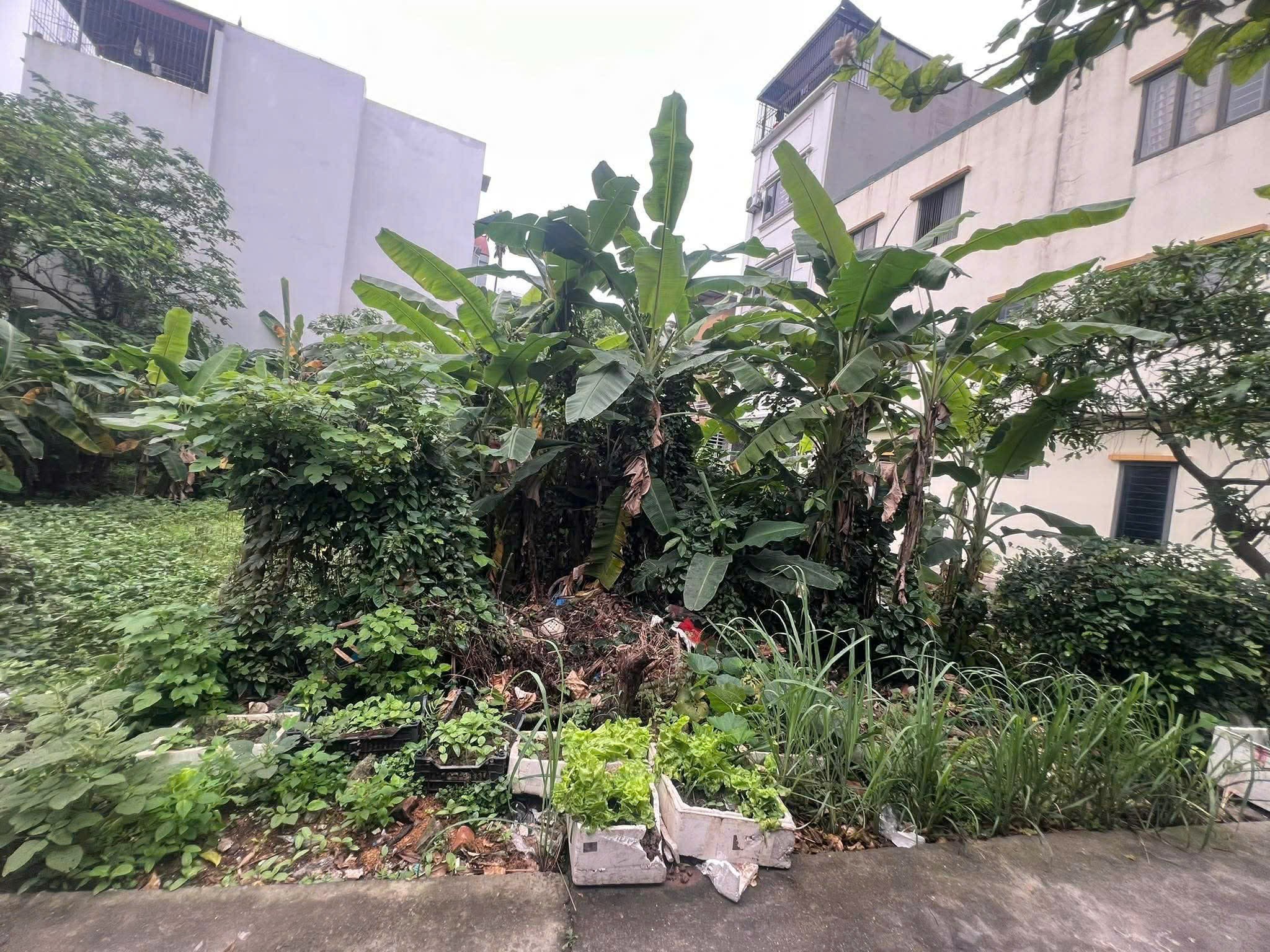 HIẾM! ĐẤT LAI XÁ – 20M RA Ô TÔ TRÁNH – 200M QL32 – XÂY CCMN QUÁ ĐỈNH 2