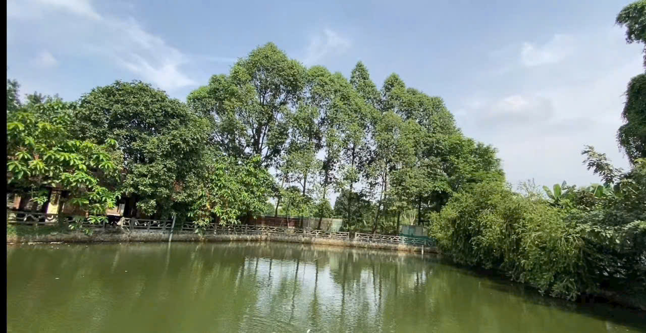 Cần bán Cửa hàng - Kiot - Mặt bằng Phường Tam Bình, Thủ Đức, Diện tích 1400m², Giá 200 Tỷ 2