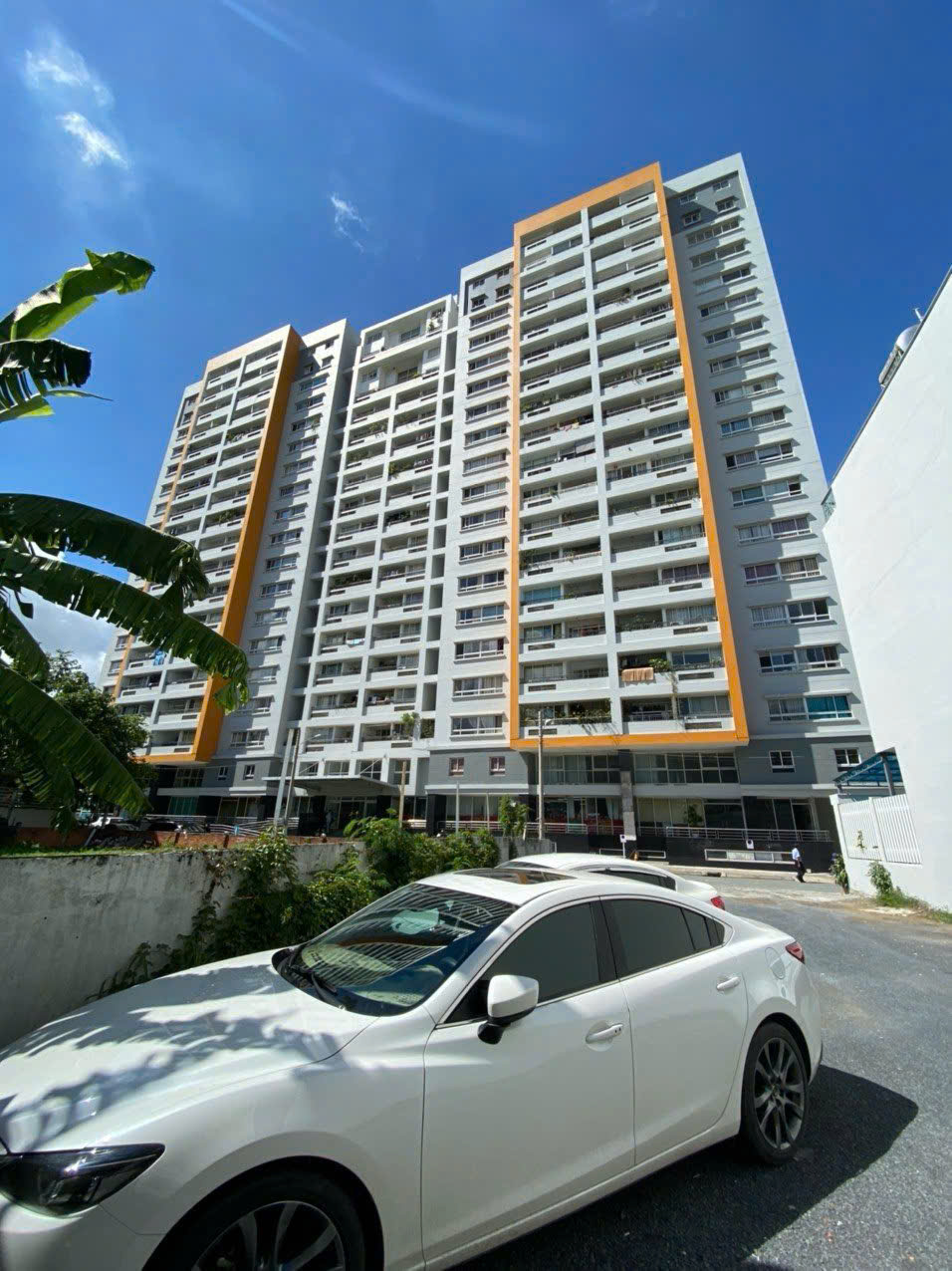 Cho thuê Nhà mặt tiền Phường Thạnh Mỹ Lợi, Quận 2, Diện tích 1100m², Giá Thương lượng 4