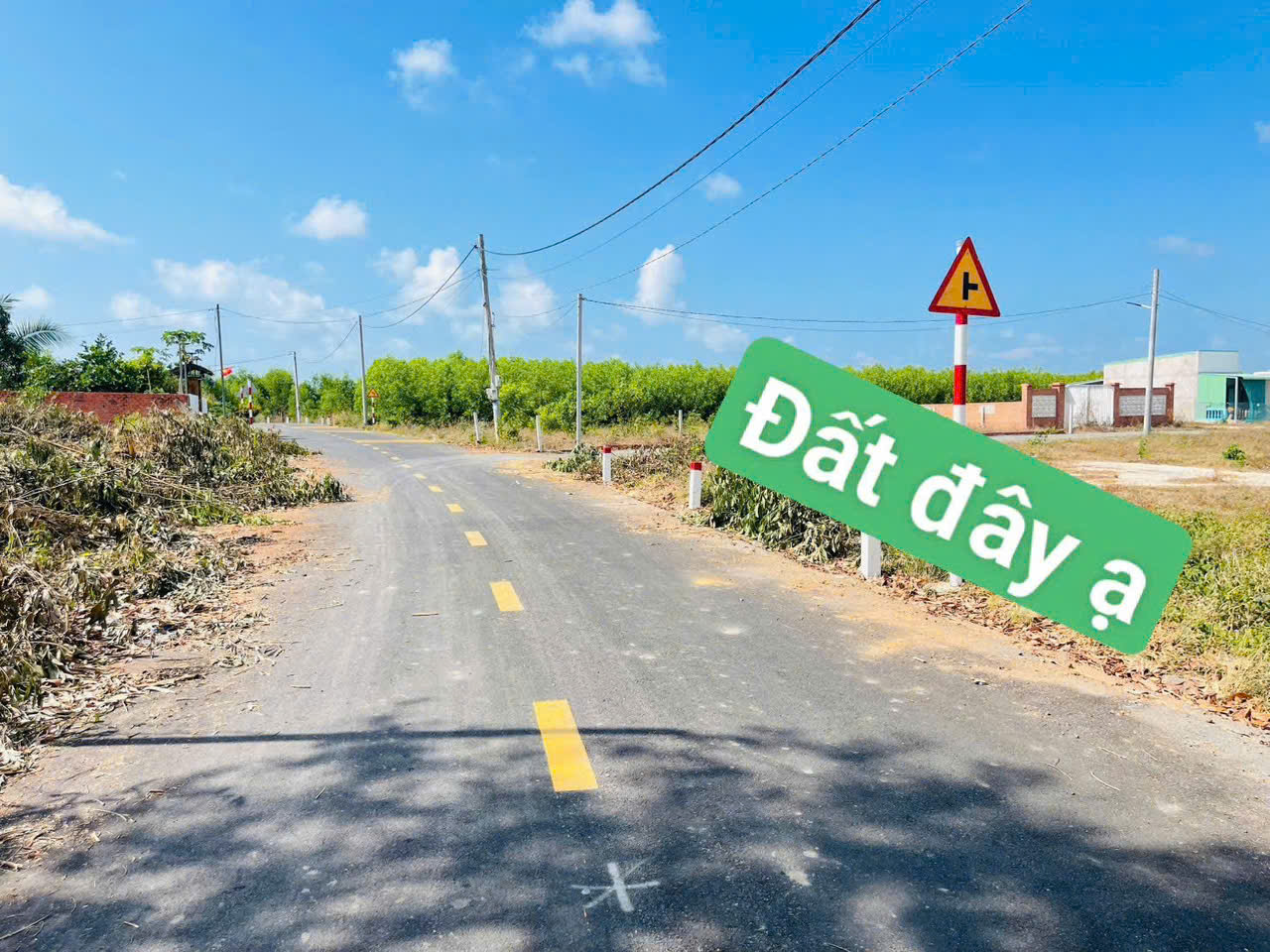 Cần bán Đất đường 44B, Xã Phước Hội, Diện tích 140m², Giá Thương lượng 3