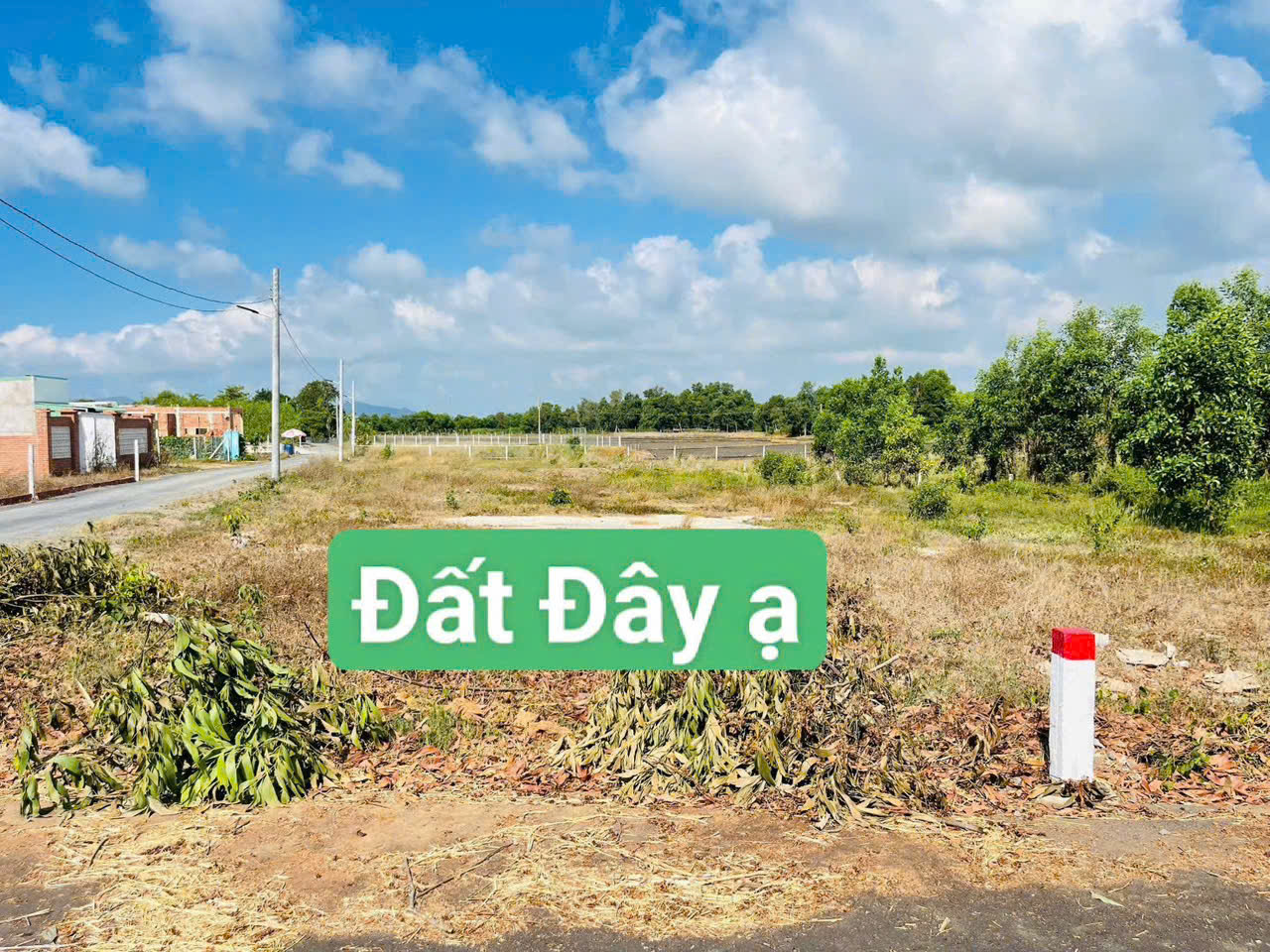 Cần bán Đất đường 44B, Xã Phước Hội, Diện tích 140m², Giá Thương lượng