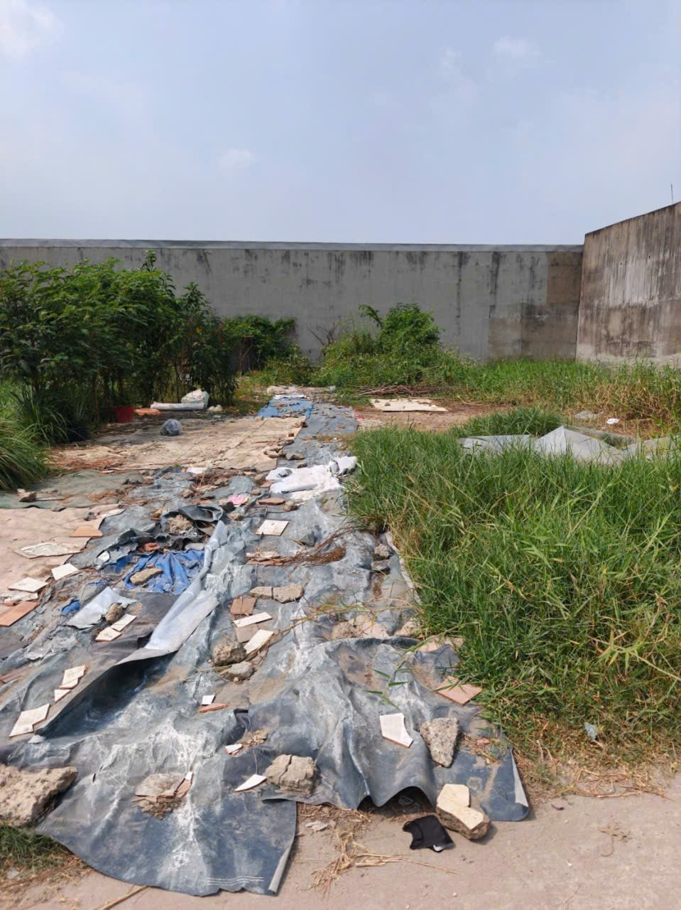 Bán đất thổ cư đường beton 4m xã Đức Hòa Đông dt 112m2 giá 1,35 tỷ 3