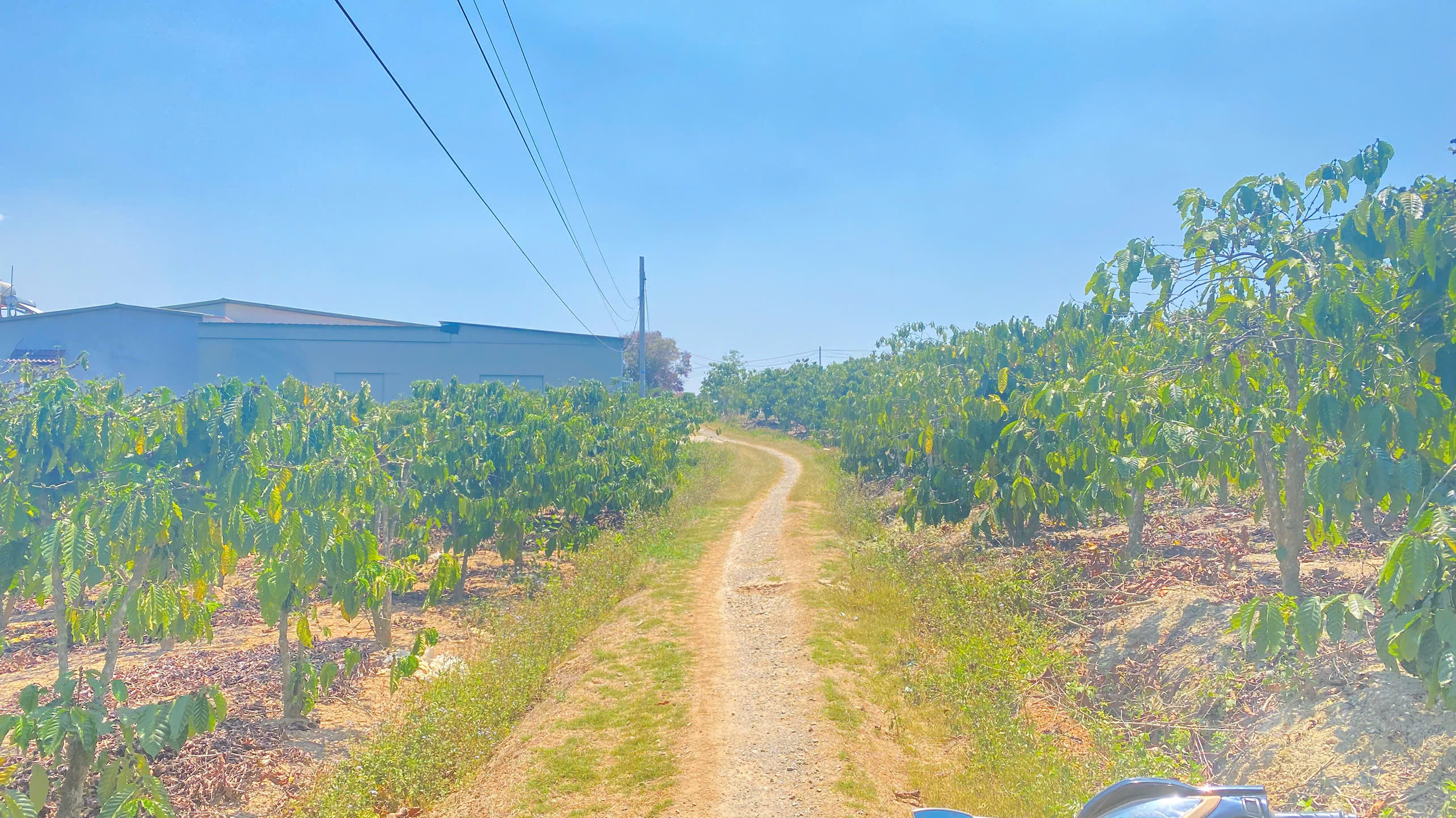 1,7 sào hẻm ql27, cây số 5, n'thôn cũ, đức trọng, lâm đồng