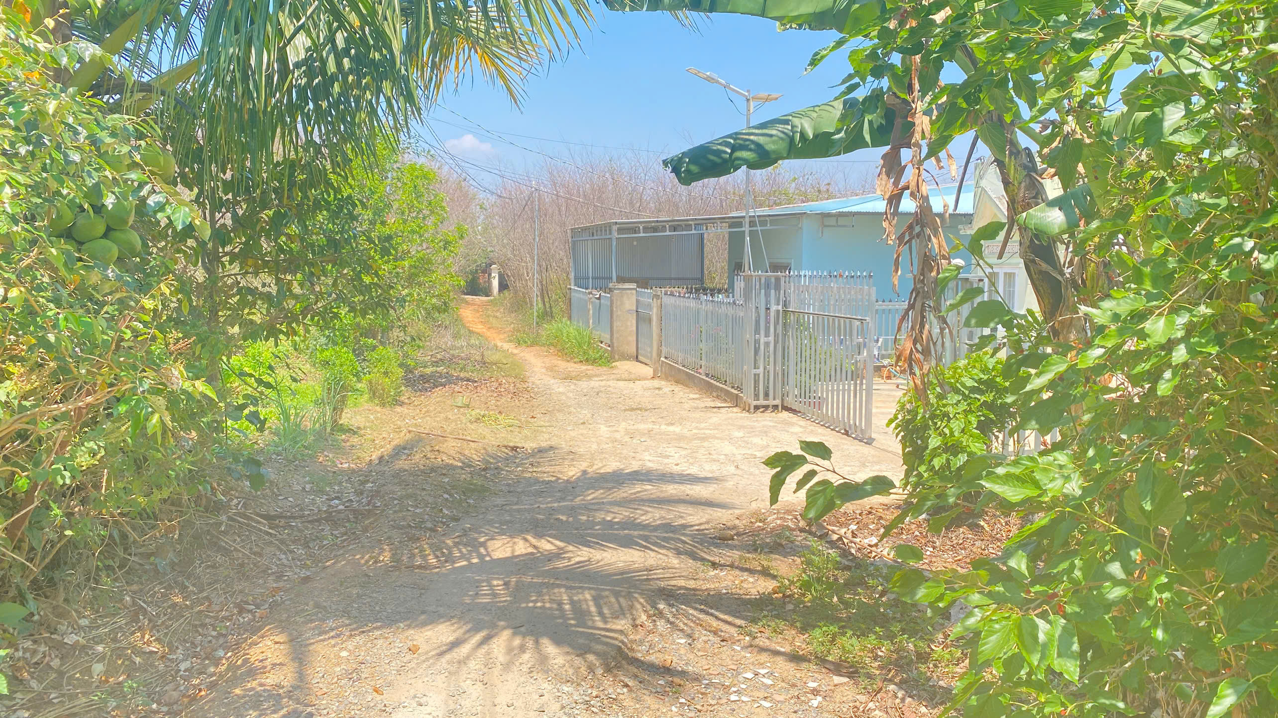 1,7 sào hẻm ql27, cây số 5, n'thôn cũ, đức trọng, lâm đồng 2