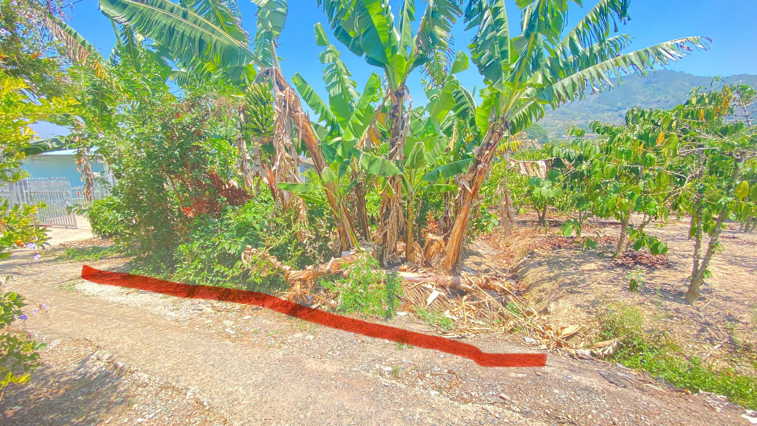 1,7 sào hẻm ql27, cây số 5, n'thôn cũ, đức trọng, lâm đồng 3