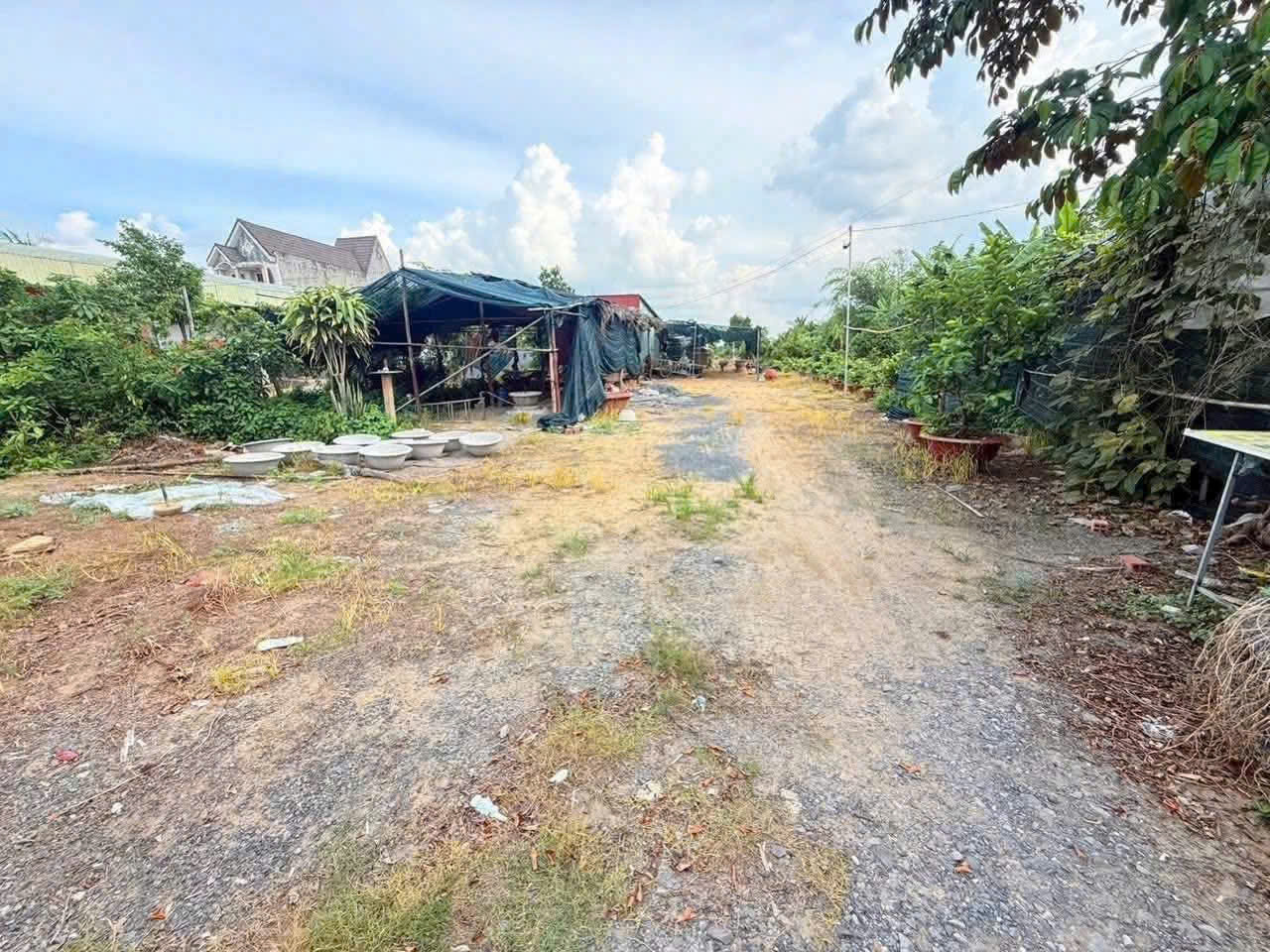 Cần bán Đất đường ĐT 816, Xã Thạnh Đức, Diện tích 672m², Giá 6.7 Tỷ 3