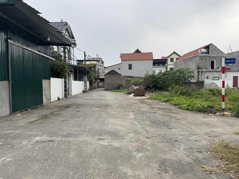 Chính Chủ Bán 76,7m2 Đất Đấu Giá Chi Đông - Cách Đường Đê DT20 Chỉ 50m - Đường Trước Đất 8m 2