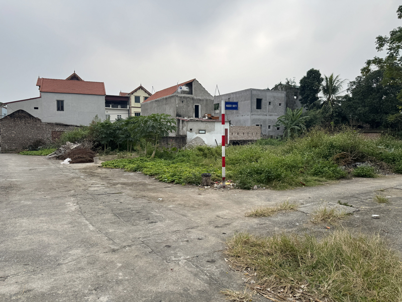 Chính Chủ Bán 76,7m2 Đất Đấu Giá Chi Đông - Cách Đường Đê DT20 Chỉ 50m - Đường Trước Đất 8m 3