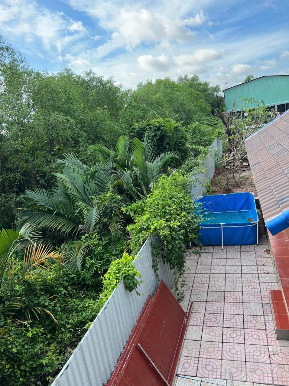 Cho thuê Kho - Nhà xưởng Phường Long Phước, Quận 9, Diện tích 3000m², Giá Thương lượng 6