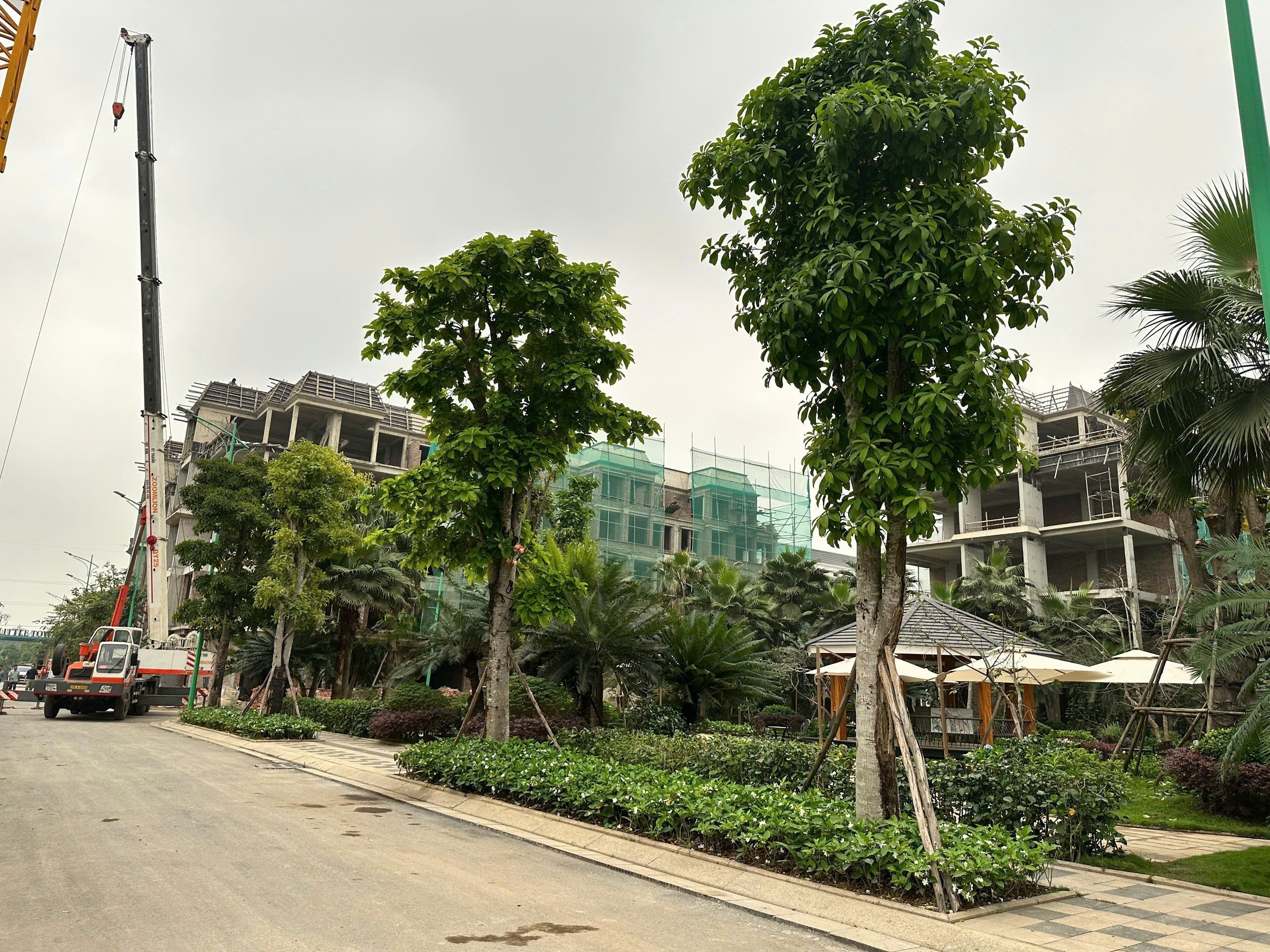 BÁN NHÀ Ở LIỀN KỀ CỔ BI DT 90M2 VÀI BƯỚC RA TRƯỜNG HỌC CÁC CẤP THOÁNG MÁT Ở SƯƠNG NHỈNH 15 TỶ 2