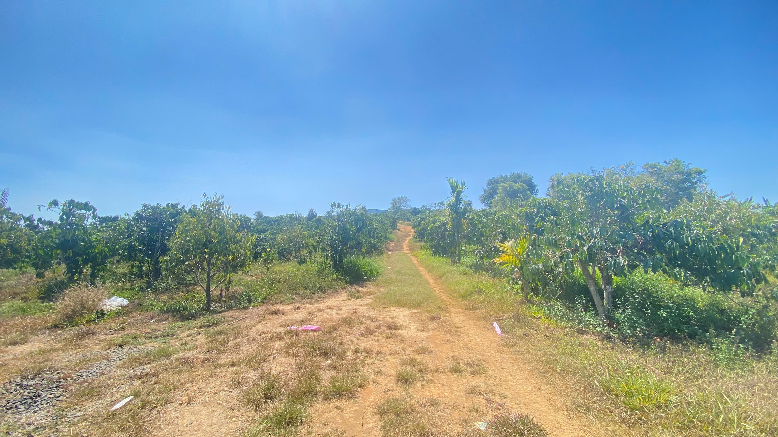 Đất hẻm ql28B, ninh gia, đức trọng cũ, lâm đồng 3,7 héc ta ( 37.000m2 ) 2