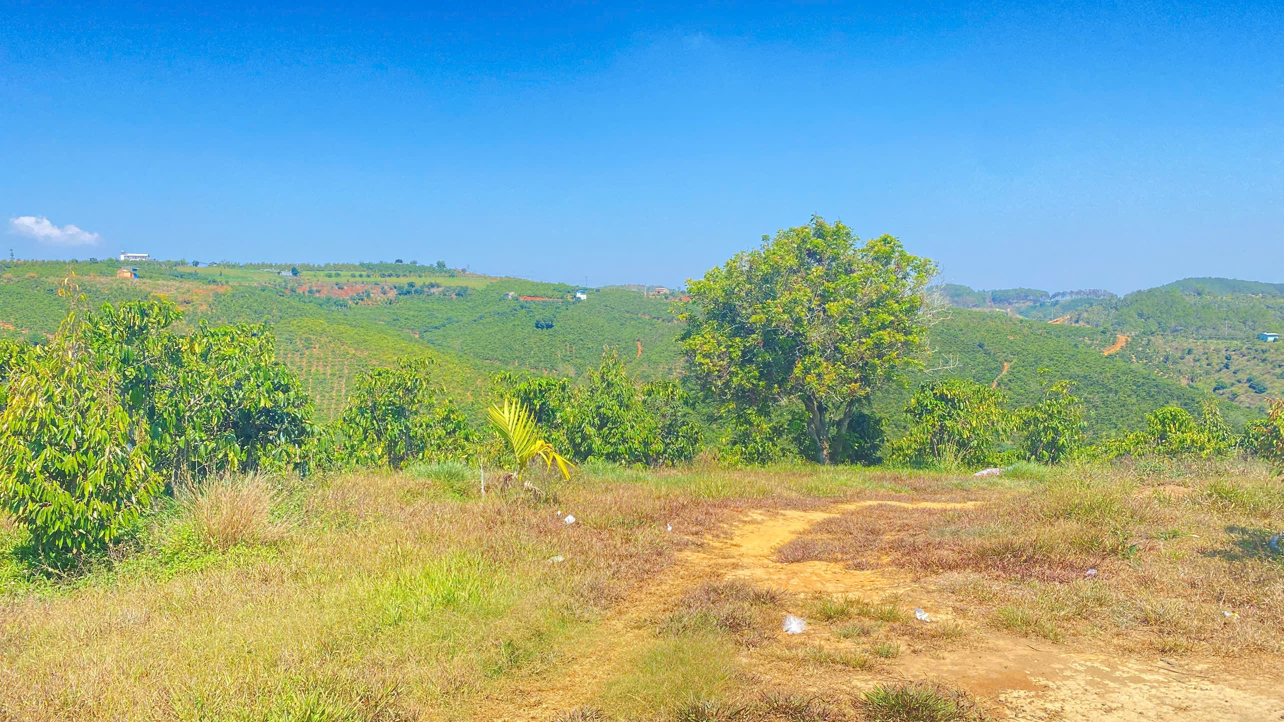 Đất hẻm ql28B, ninh gia, đức trọng cũ, lâm đồng 3,7 héc ta ( 37.000m2 ) 4