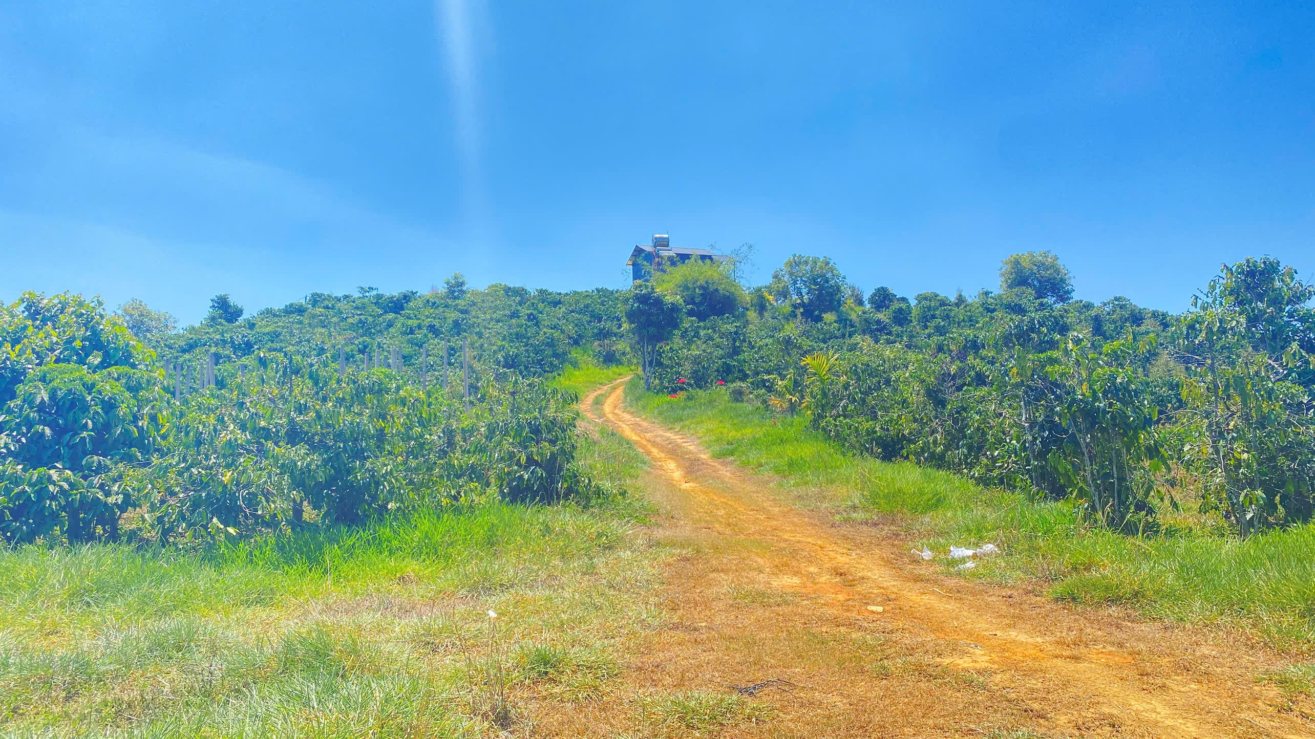 Đất hẻm ql28B, ninh gia, đức trọng cũ, lâm đồng 3,7 héc ta ( 37.000m2 ) 5