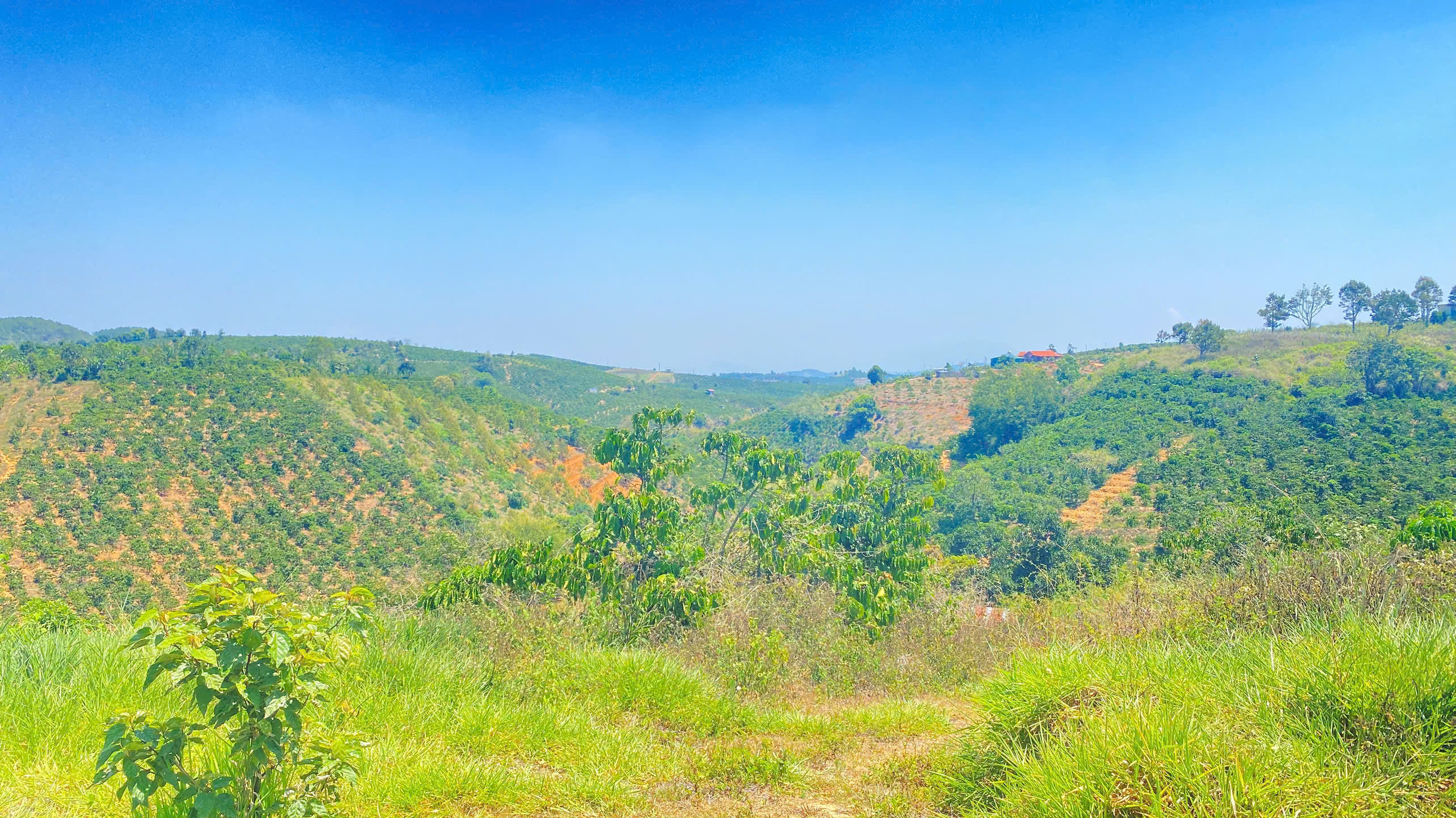 Đất hẻm ql28B, ninh gia, đức trọng cũ, lâm đồng 3,7 héc ta ( 37.000m2 ) 6