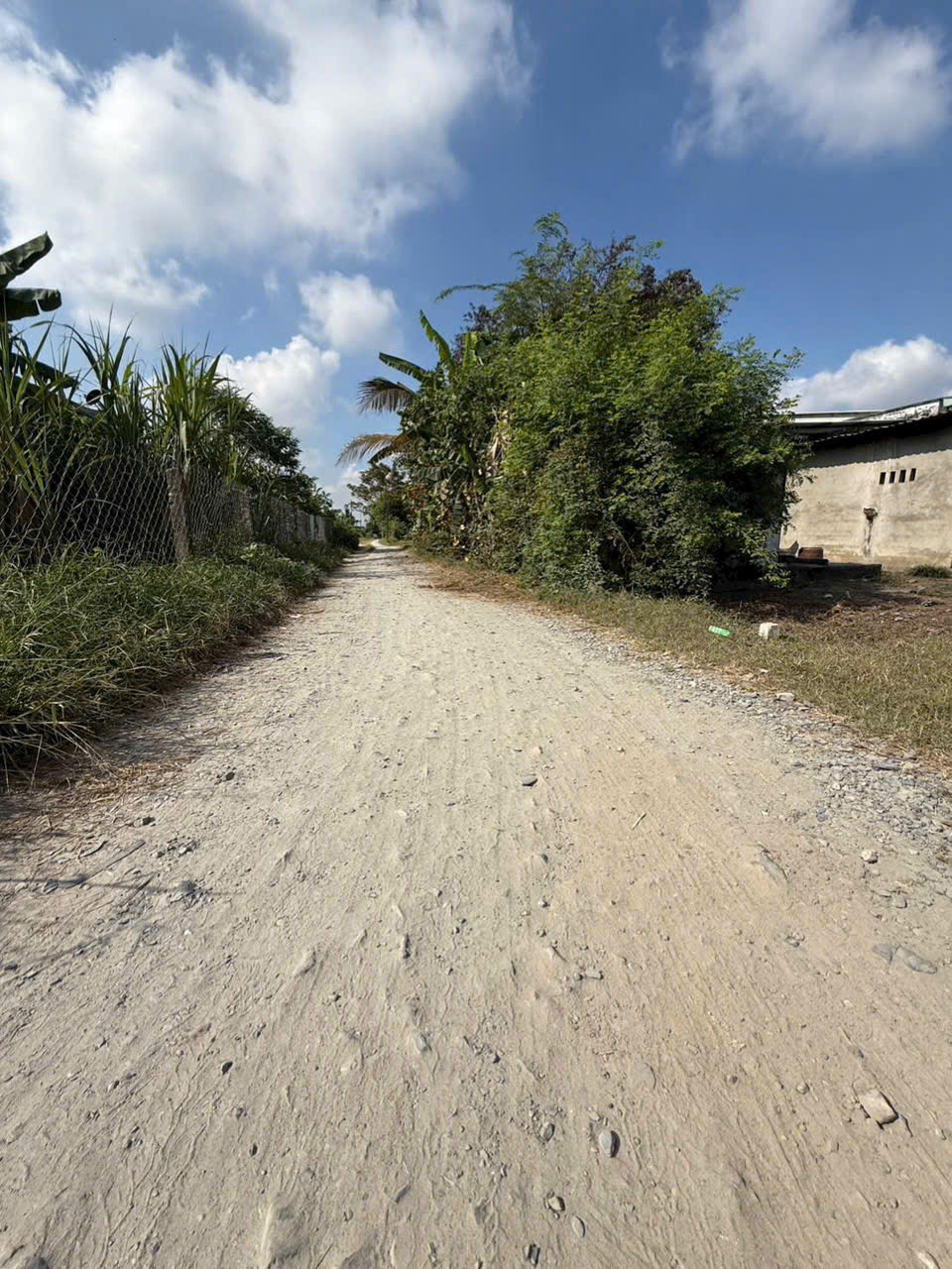 Bán nền thổ cư hẻm đường đá xanh oto xã Đức Hòa Thượng dt 155m2 giá 820 triệu 4