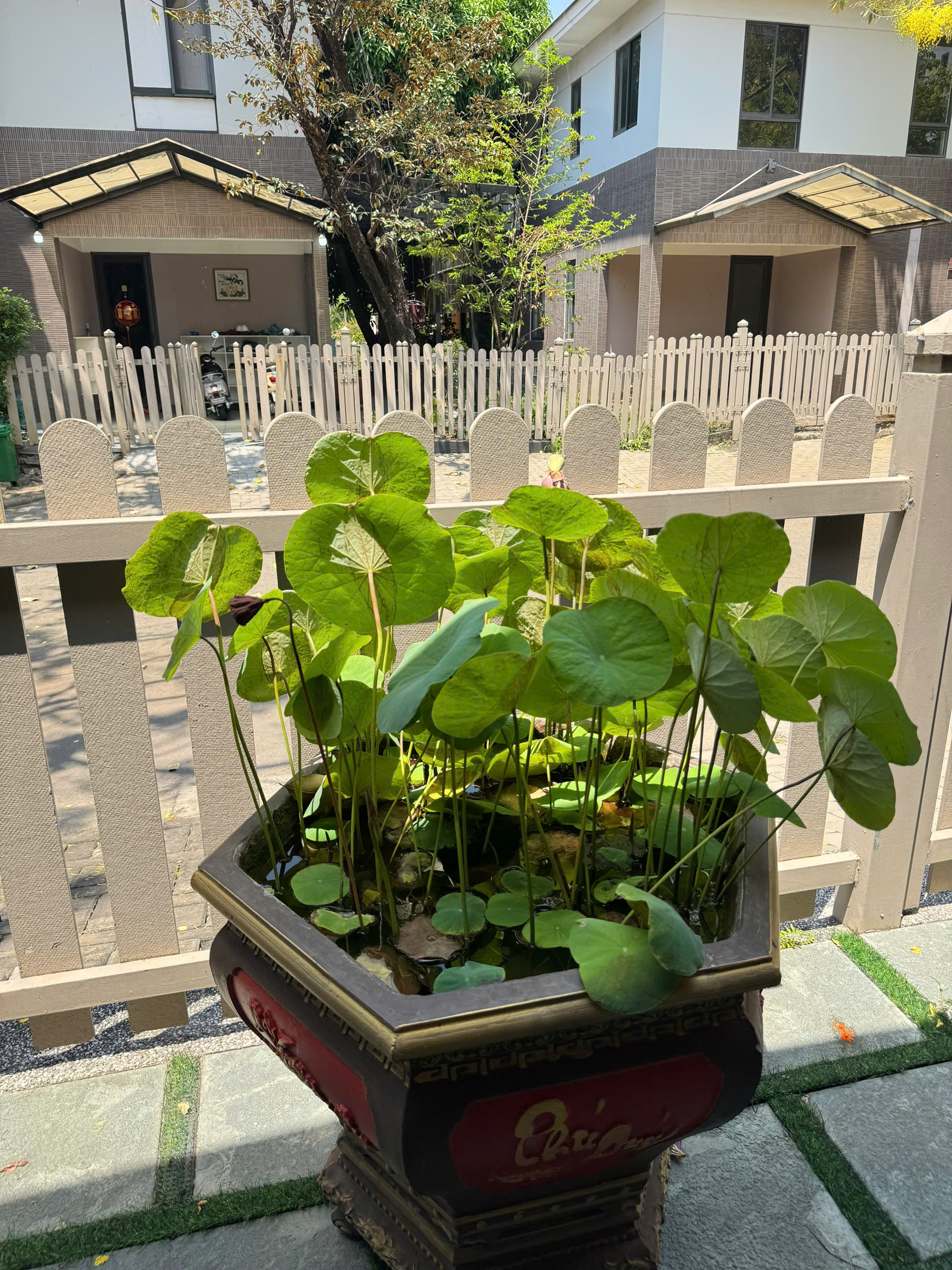 Cho thuê Nhà mặt tiền Quận 9, Hồ Chí Minh, Diện tích 169m², Giá Thương lượng 11