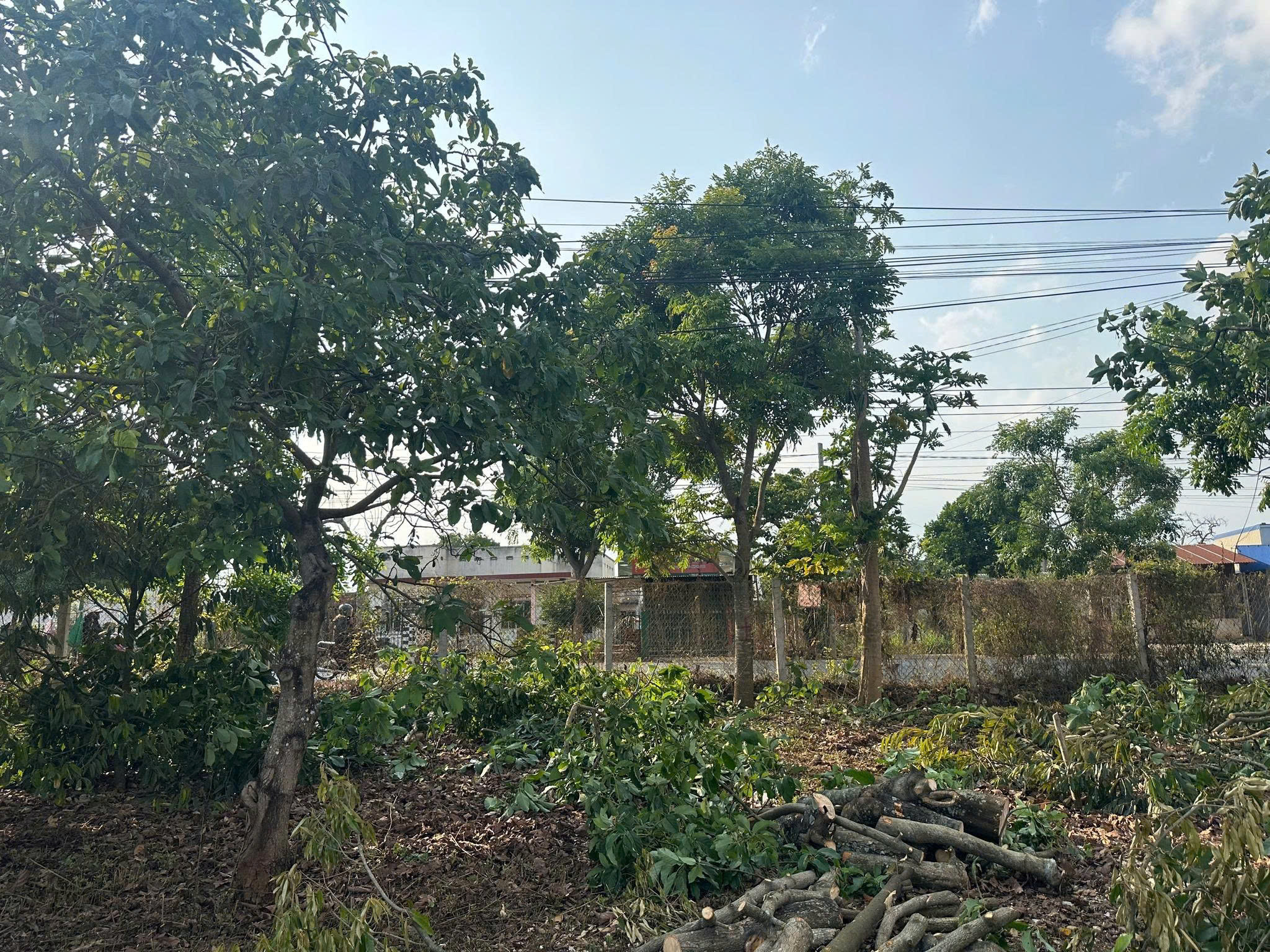 Bán 29,5 x 80m đất mặt tiền quốc lộ 27 giá cực tốt 8,8 tỷ đức trọng 5